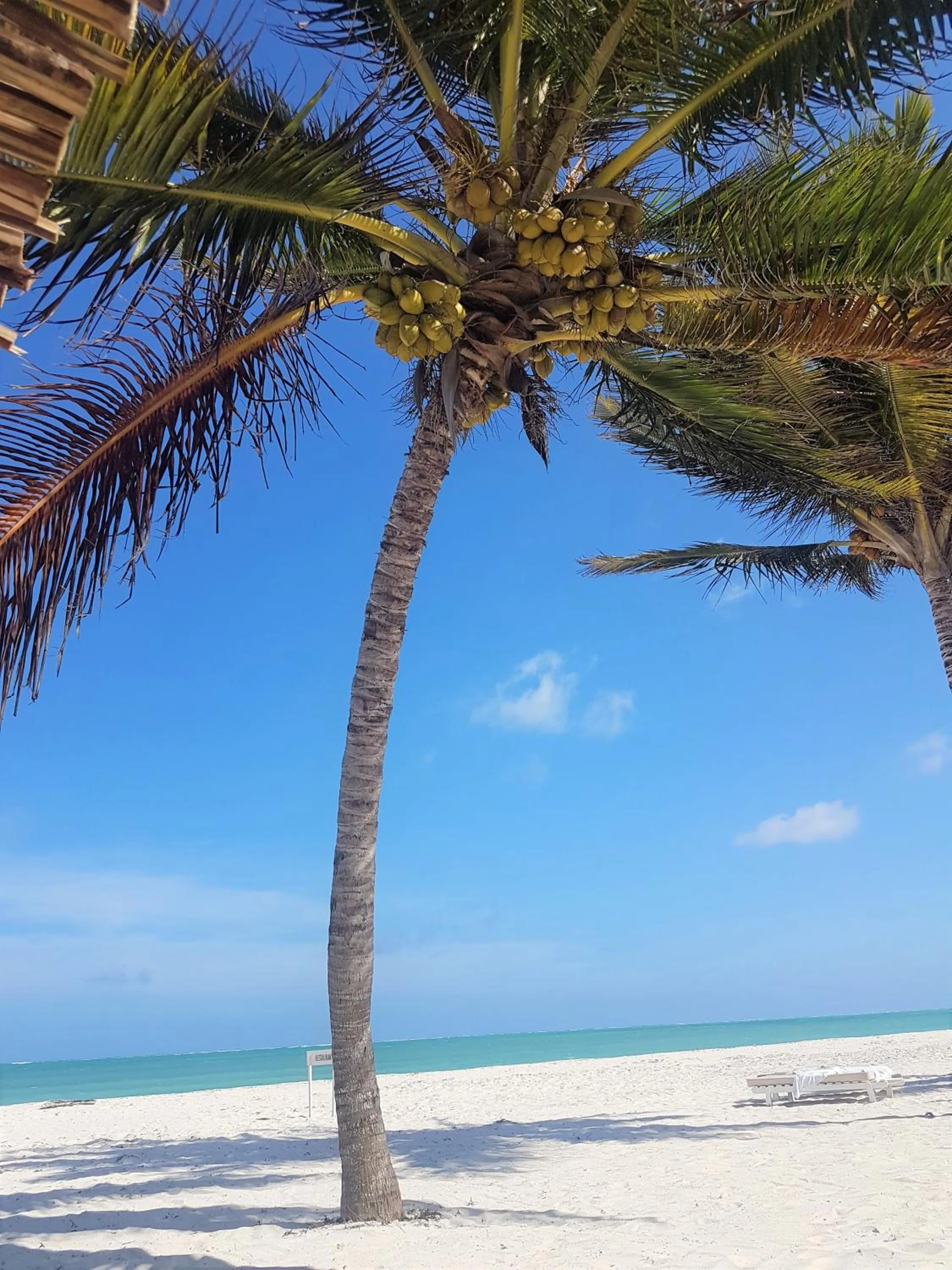 Beach in Life Resort St. Thomas Royal Palm