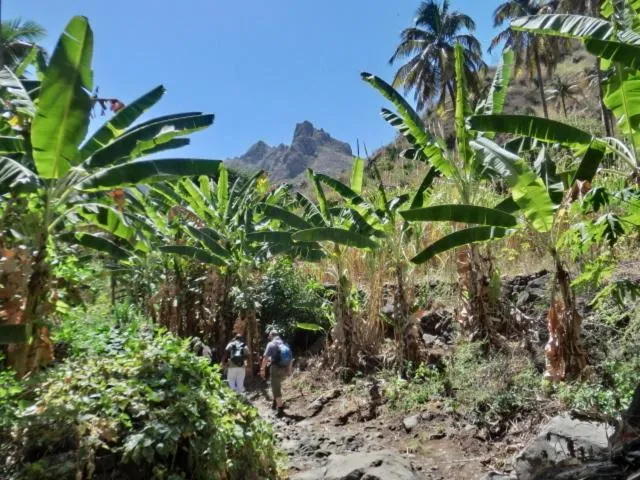 Area and facilities in Aparthotel Praiano