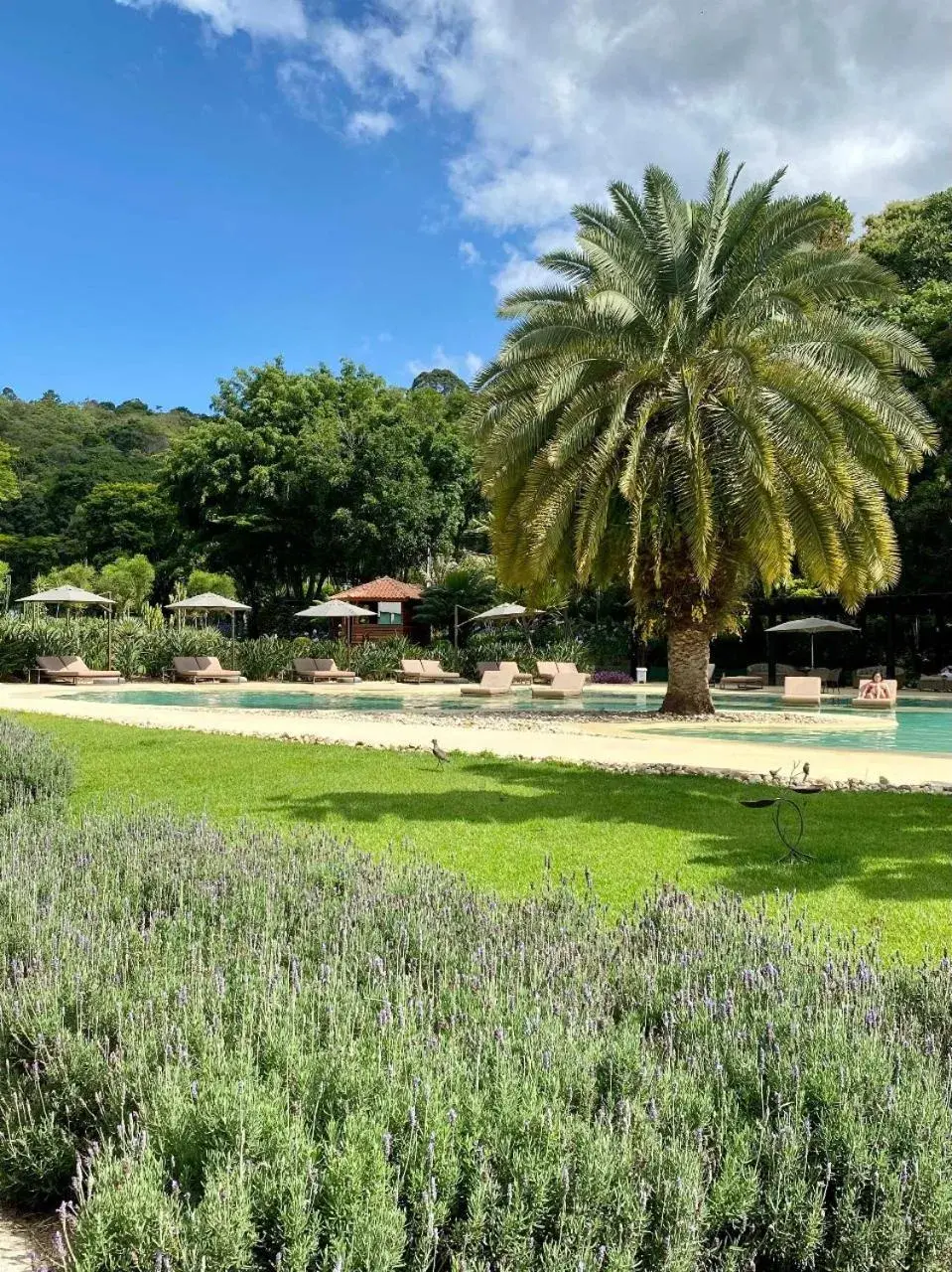 Day in Unique Garden Day in Unique Garden