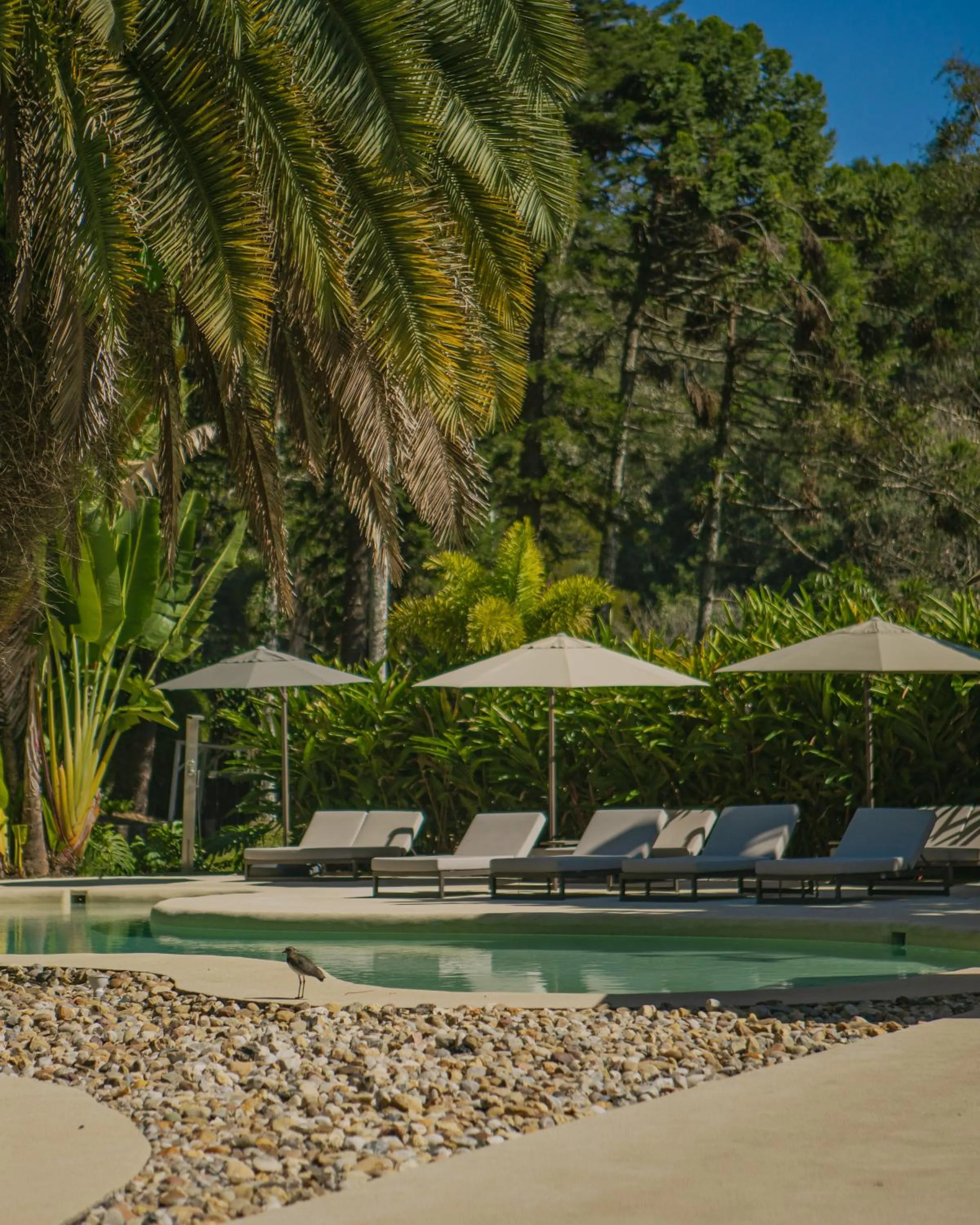 Swimming pool in Unique Garden