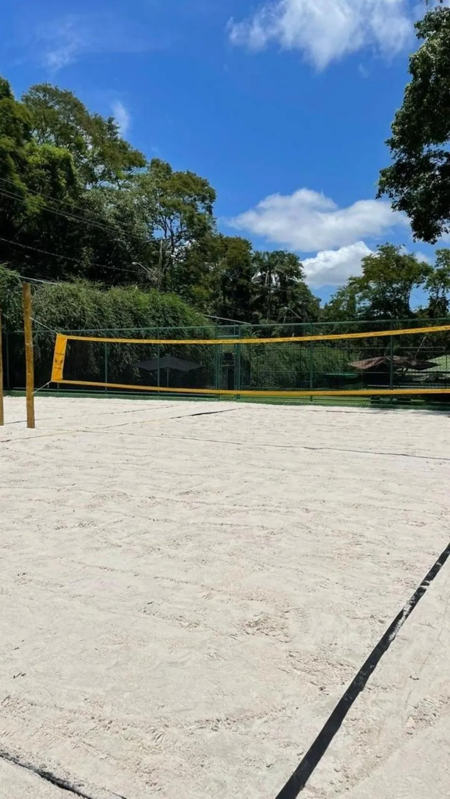 Day in Unique Garden