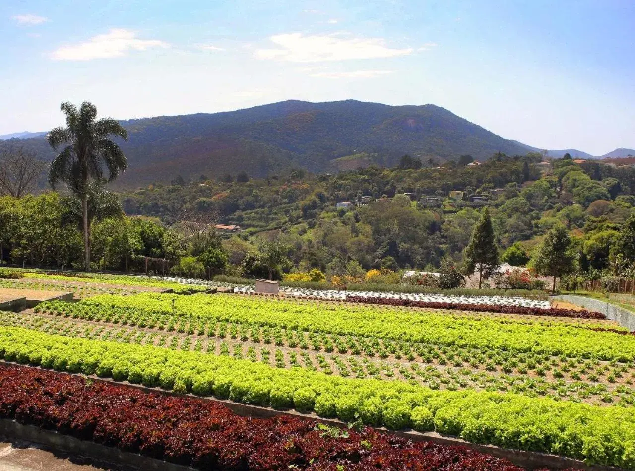 Day in Unique Garden Day in Unique Garden