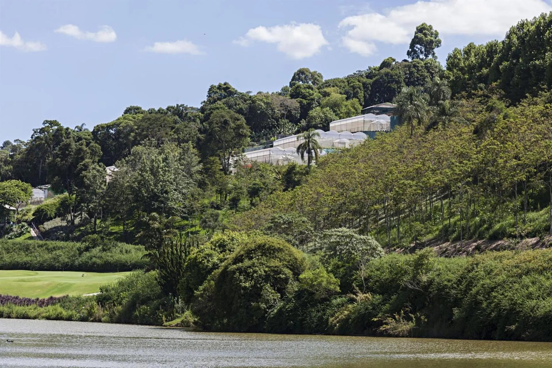 Day in Unique Garden