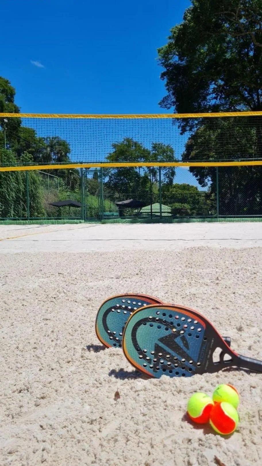 Day in Unique Garden