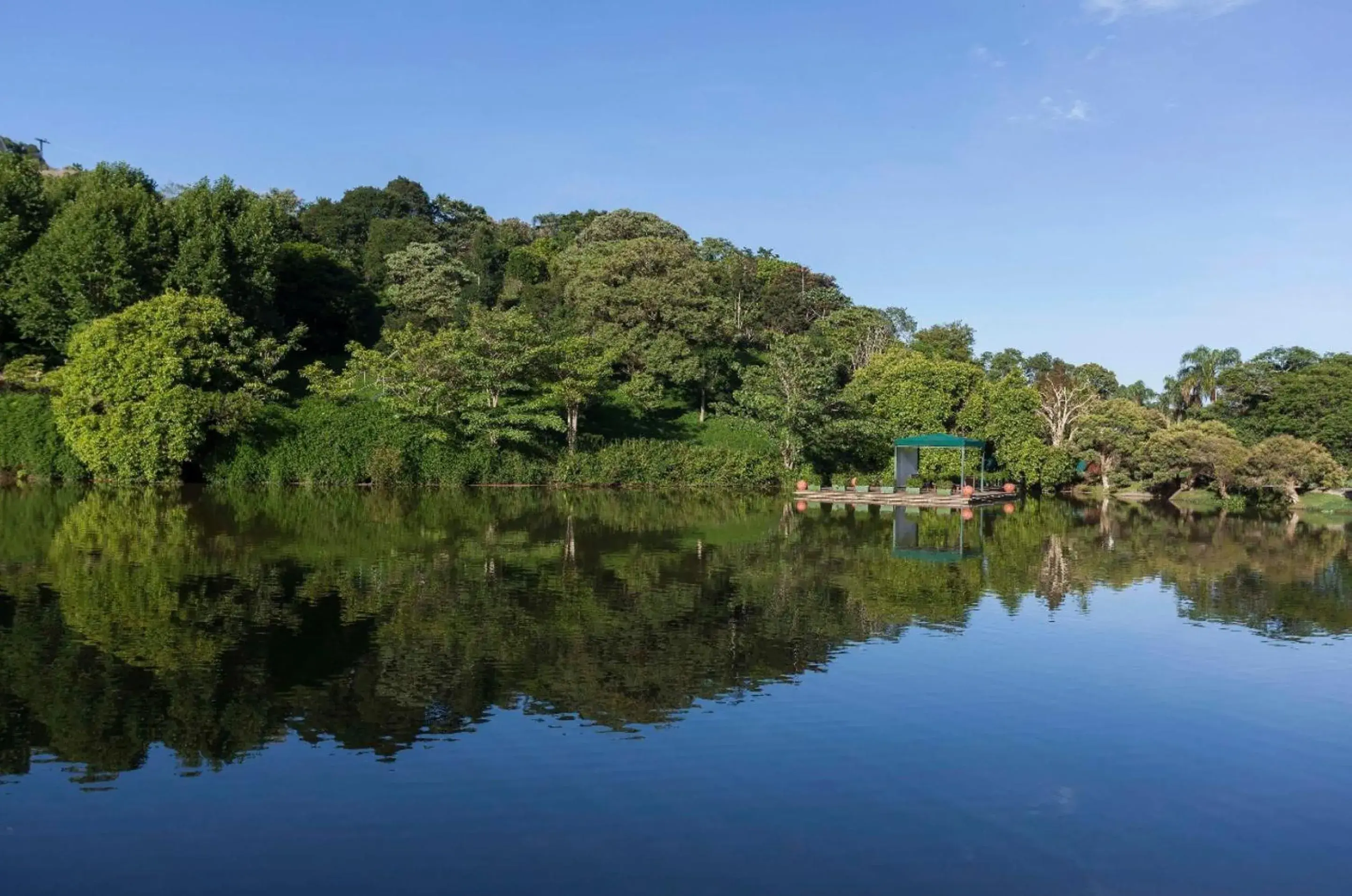 Day in Unique Garden Day in Unique Garden