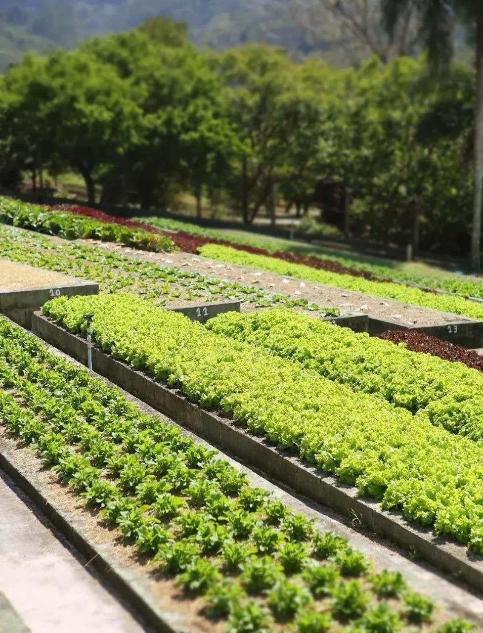 Day in Unique Garden Day in Unique Garden