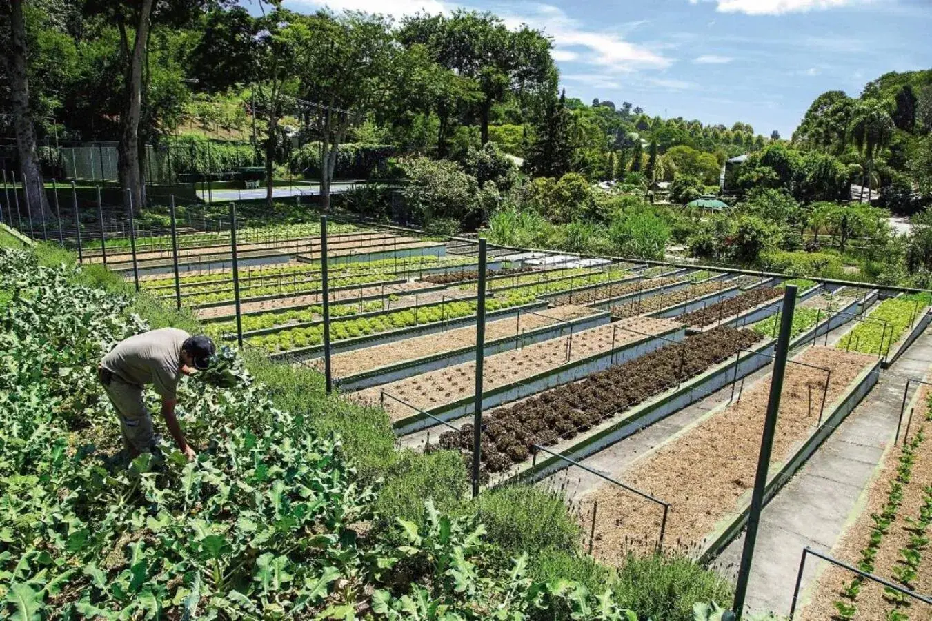 Day in Unique Garden Day in Unique Garden