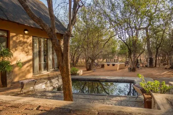 Warthogs Rest