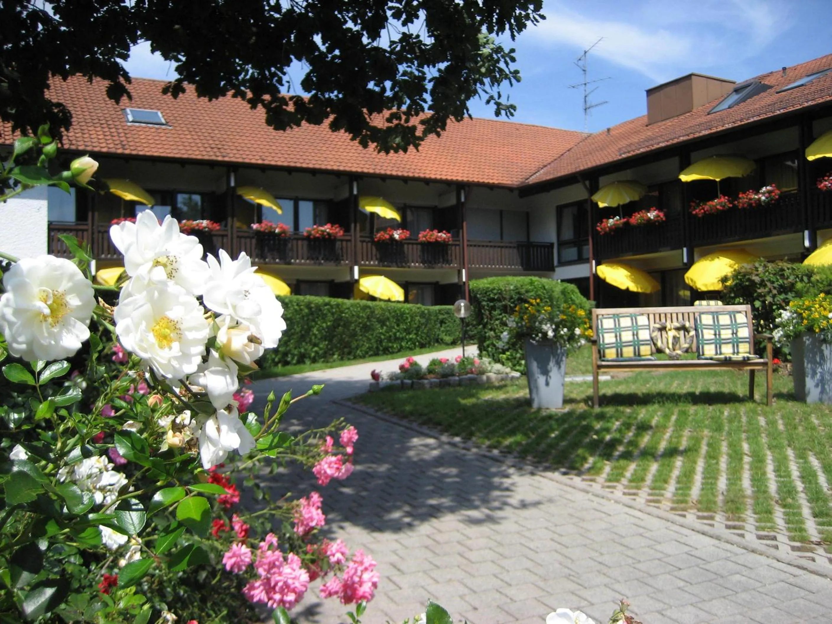 Facade/entrance in Hotel Sonnenhof