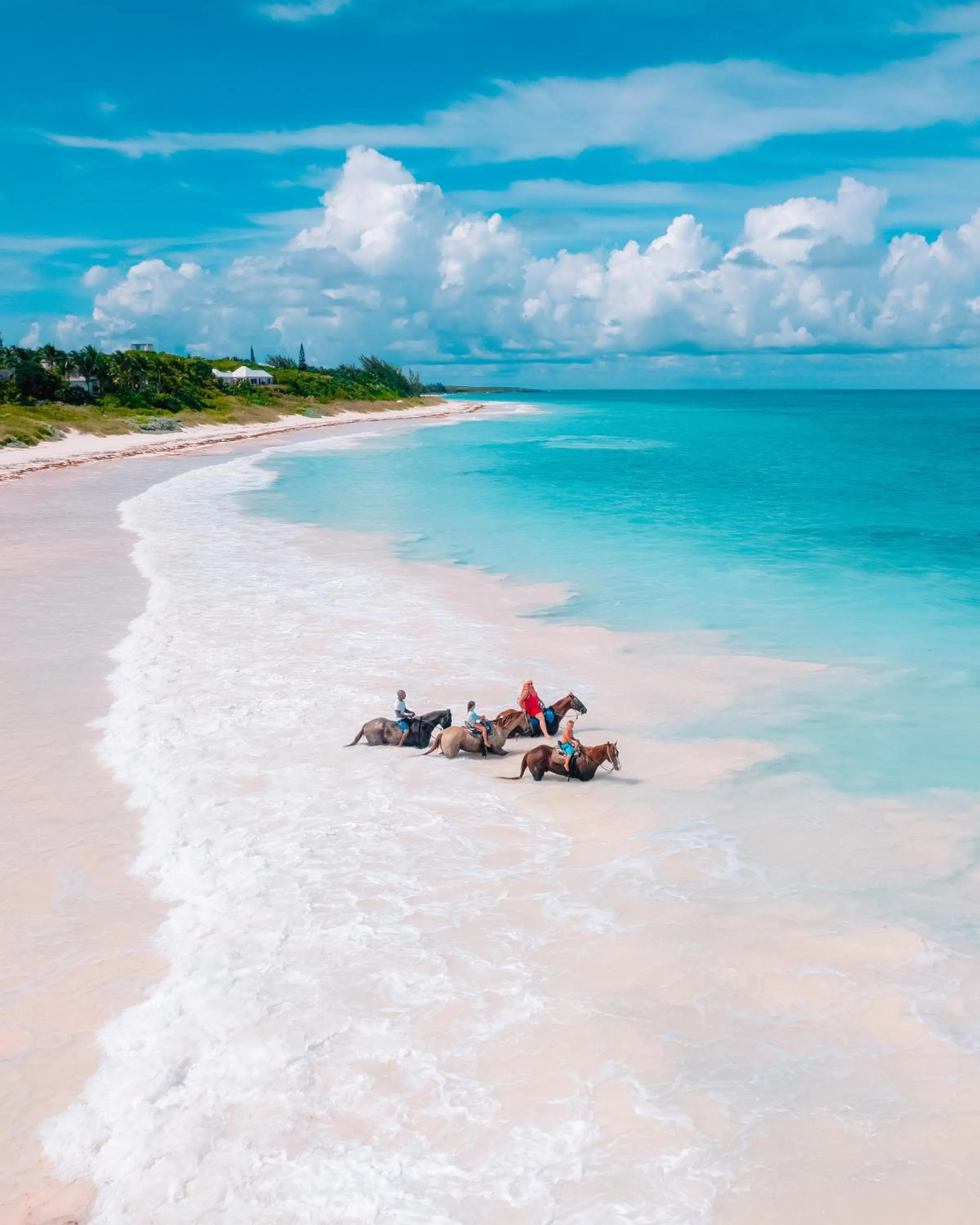 Activities in Valentines Resort & Marina