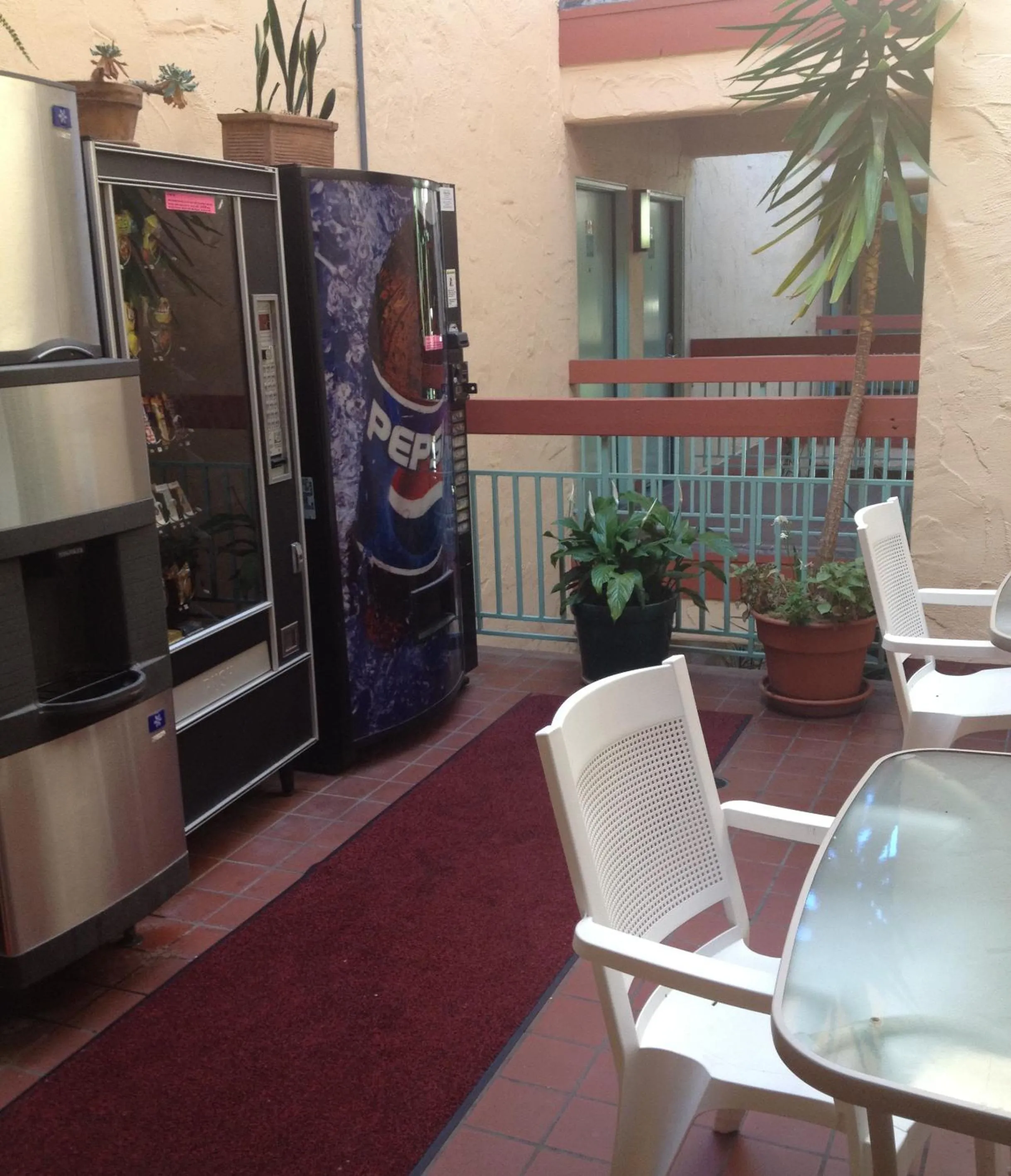 Food in Carousel Beach Inn