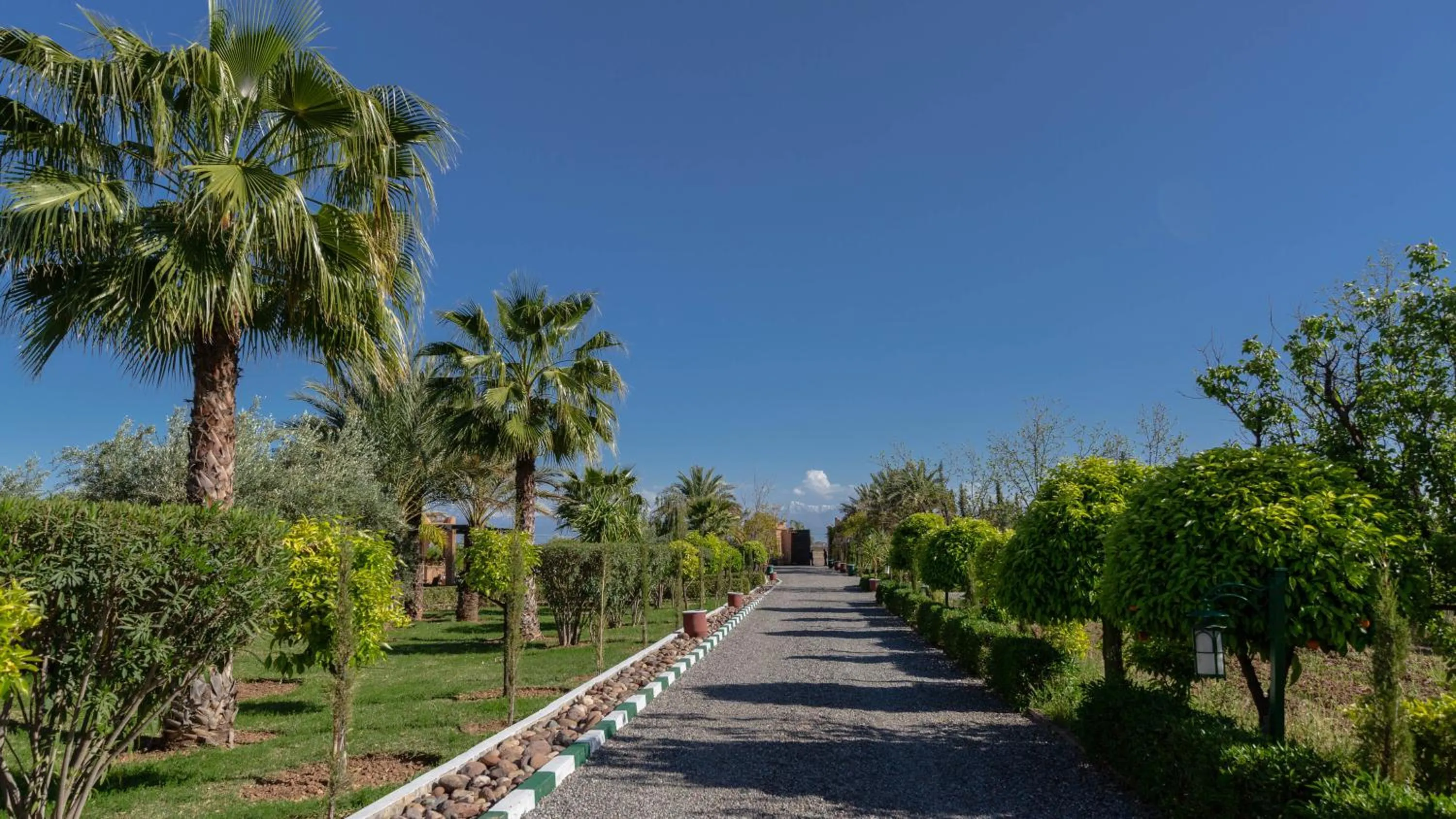 View (from property/room) in L'OLIVERAIE DE L'ATLAS