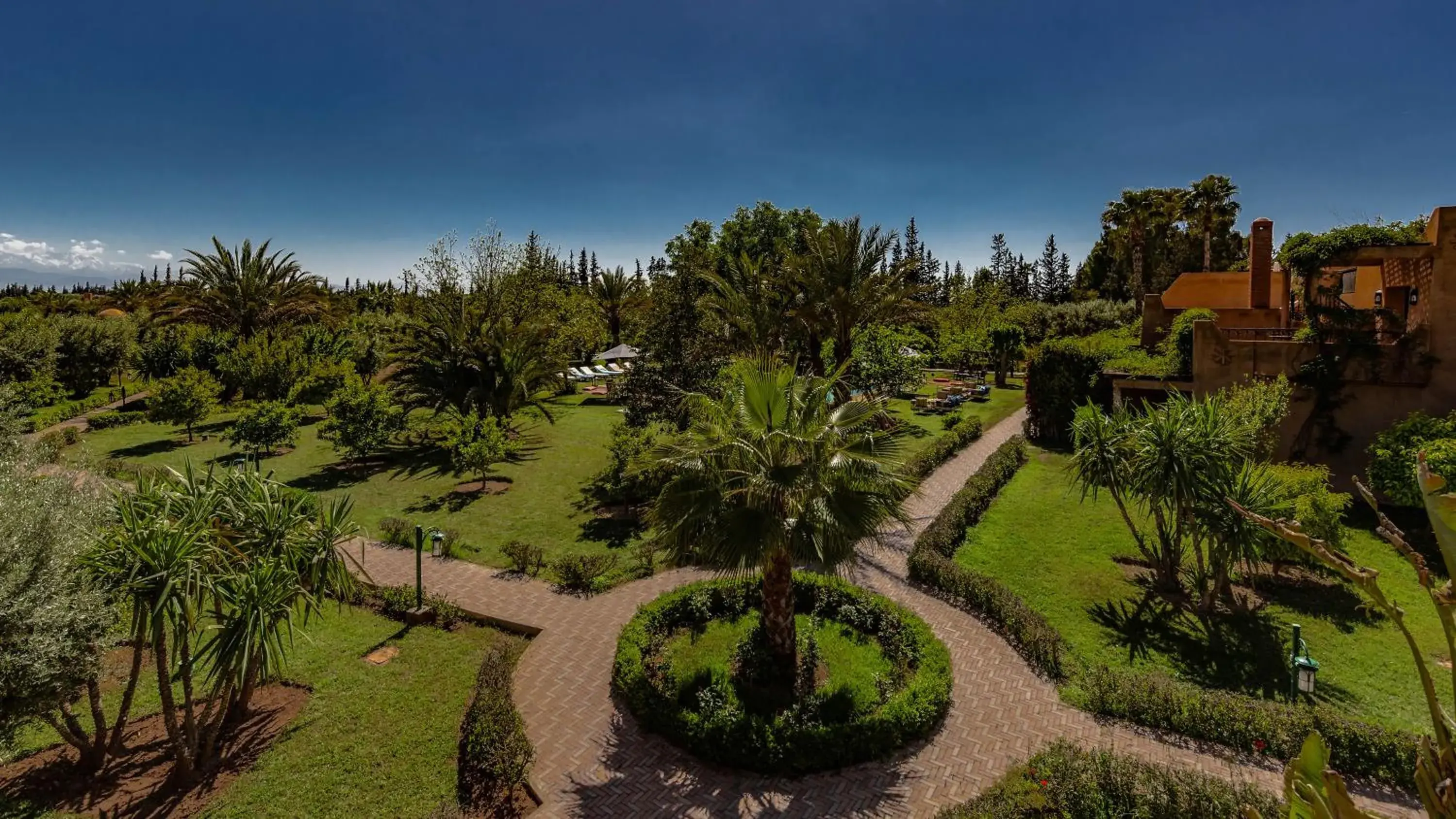 Garden view in L'OLIVERAIE DE L'ATLAS Garden view in L'OLIVERAIE DE L'ATLAS
