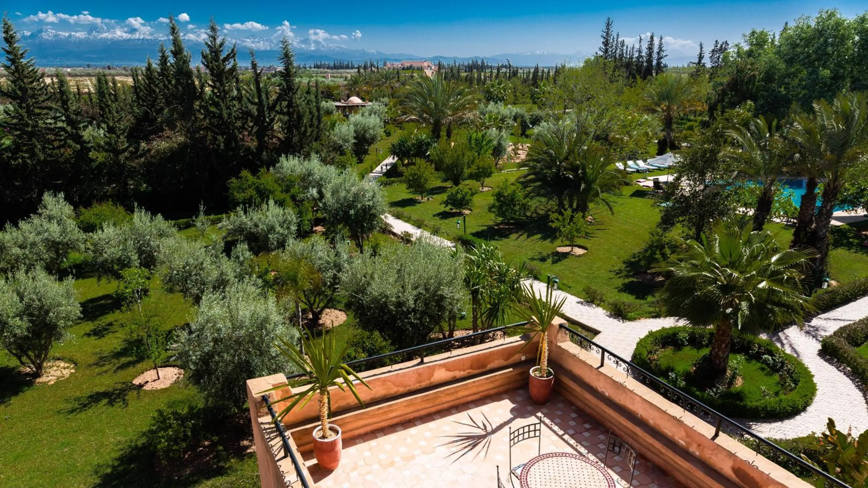 Garden view in L'OLIVERAIE DE L'ATLAS