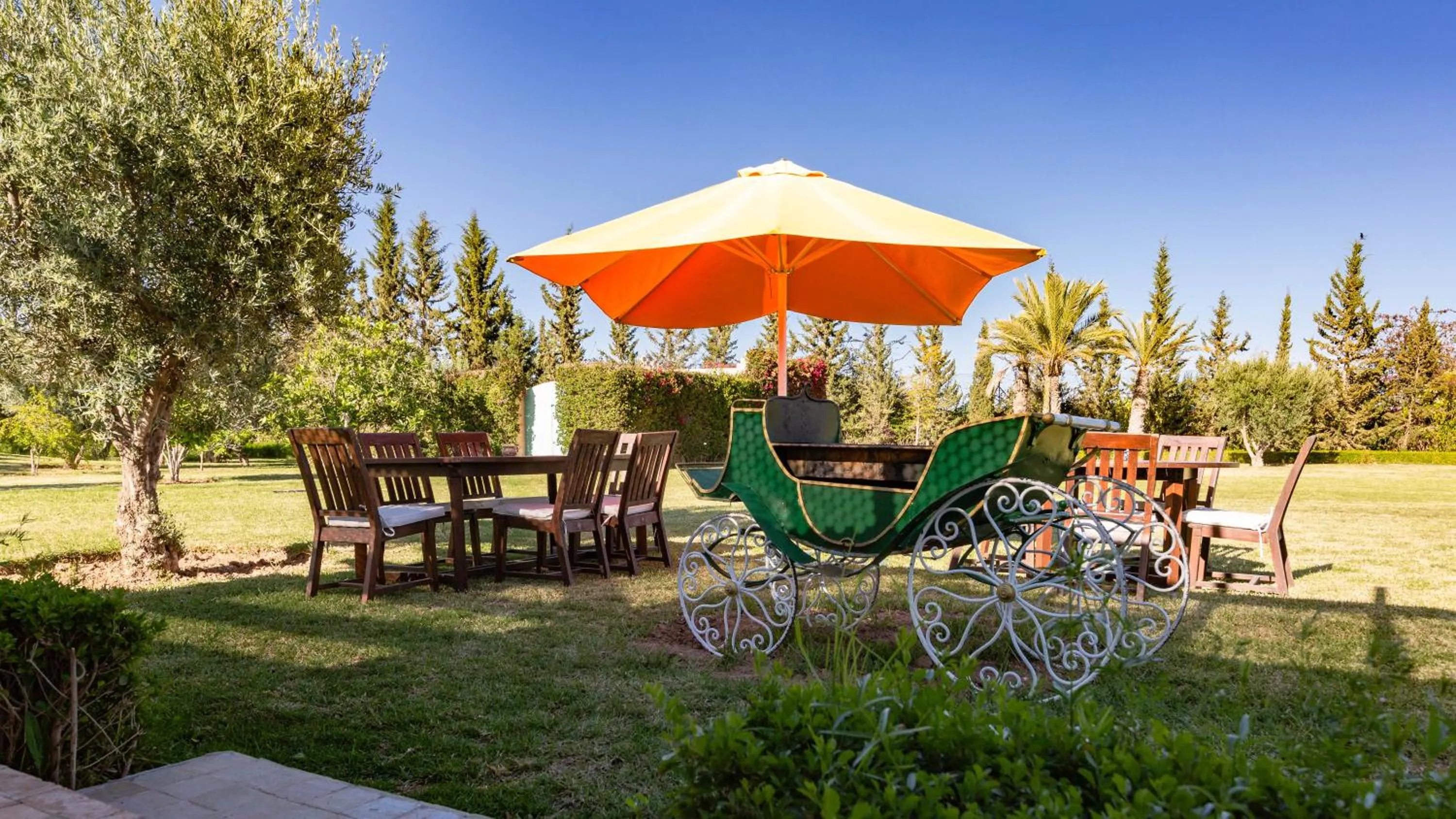 Garden view in L'OLIVERAIE DE L'ATLAS