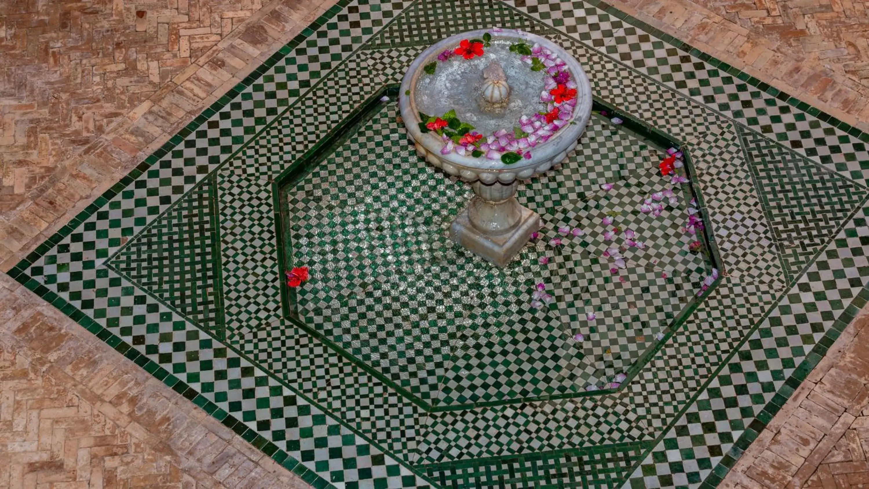 View (from property/room) in L'OLIVERAIE DE L'ATLAS View (from property/room) in L'OLIVERAIE DE L'ATLAS