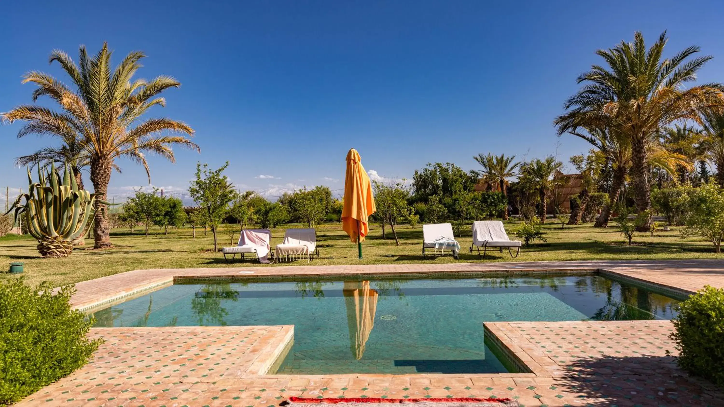 Pool view in L'OLIVERAIE DE L'ATLAS Pool view in L'OLIVERAIE DE L'ATLAS