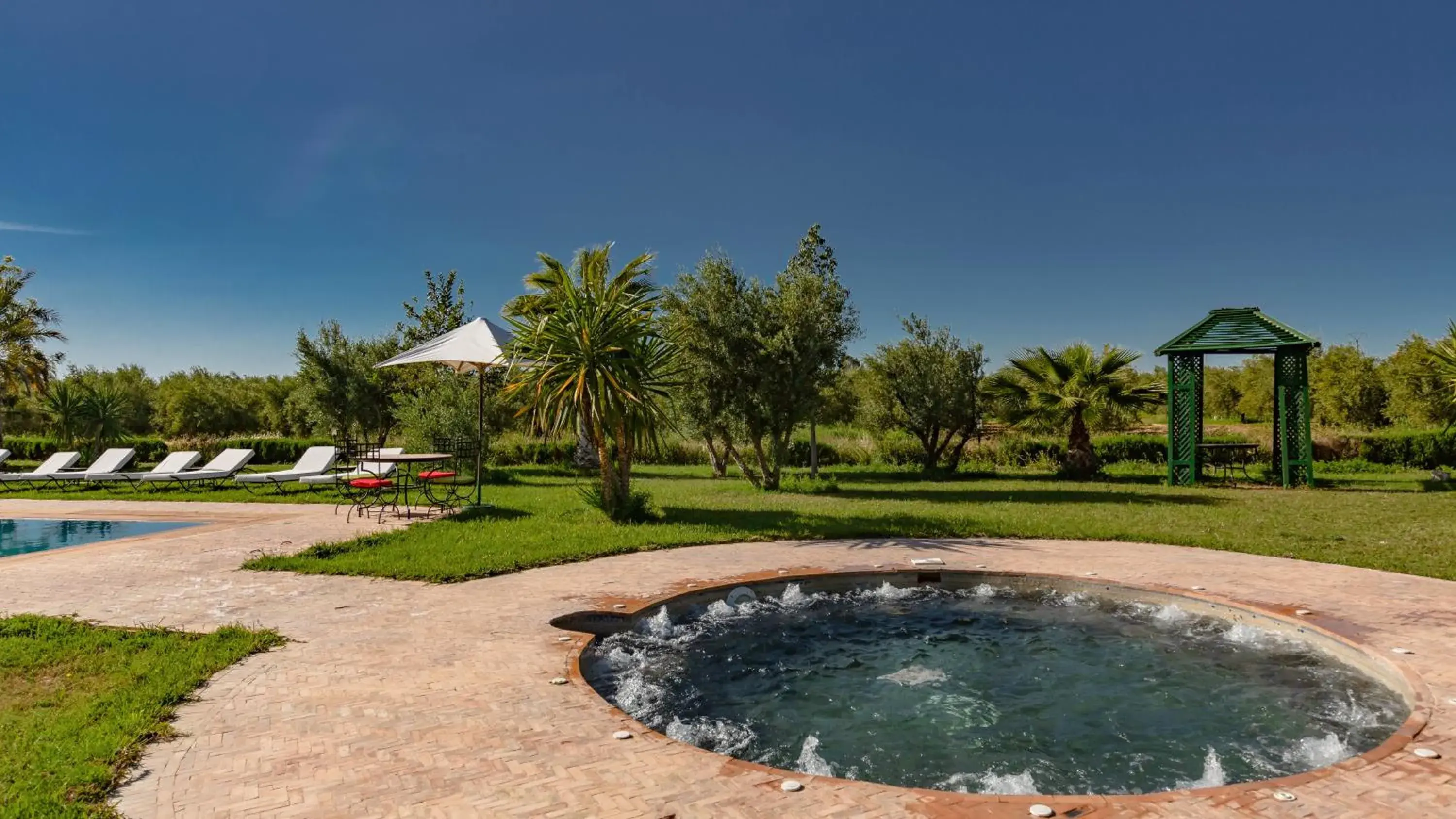 Pool view in L'OLIVERAIE DE L'ATLAS Pool view in L'OLIVERAIE DE L'ATLAS