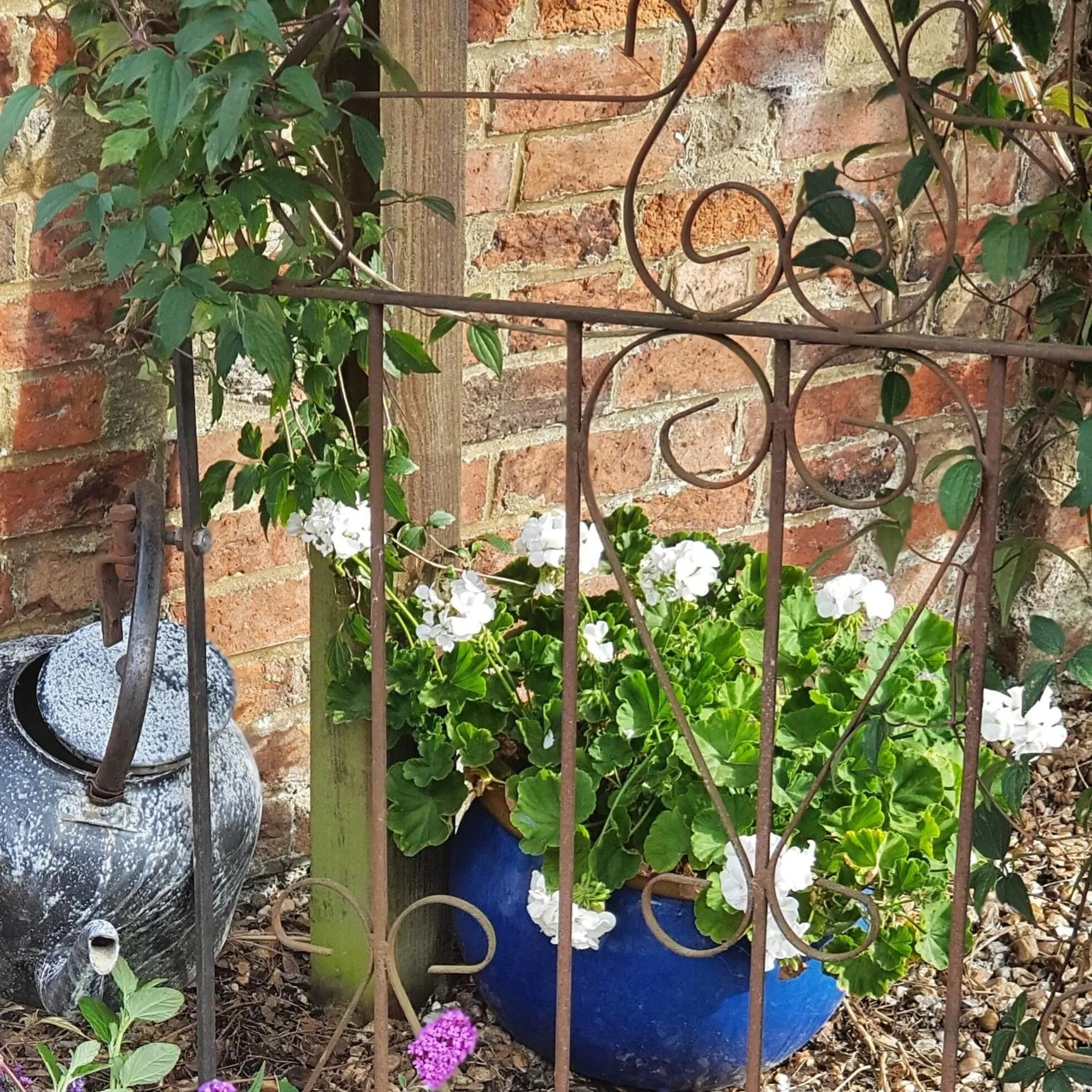 Garden in Wisteria Haze
