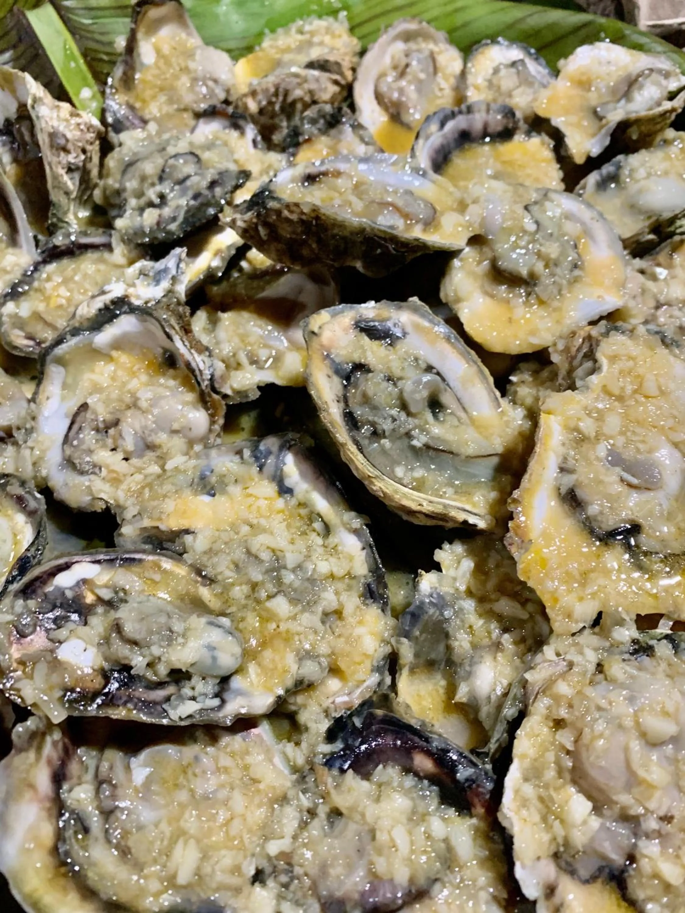 Airport View Hotel Vigan