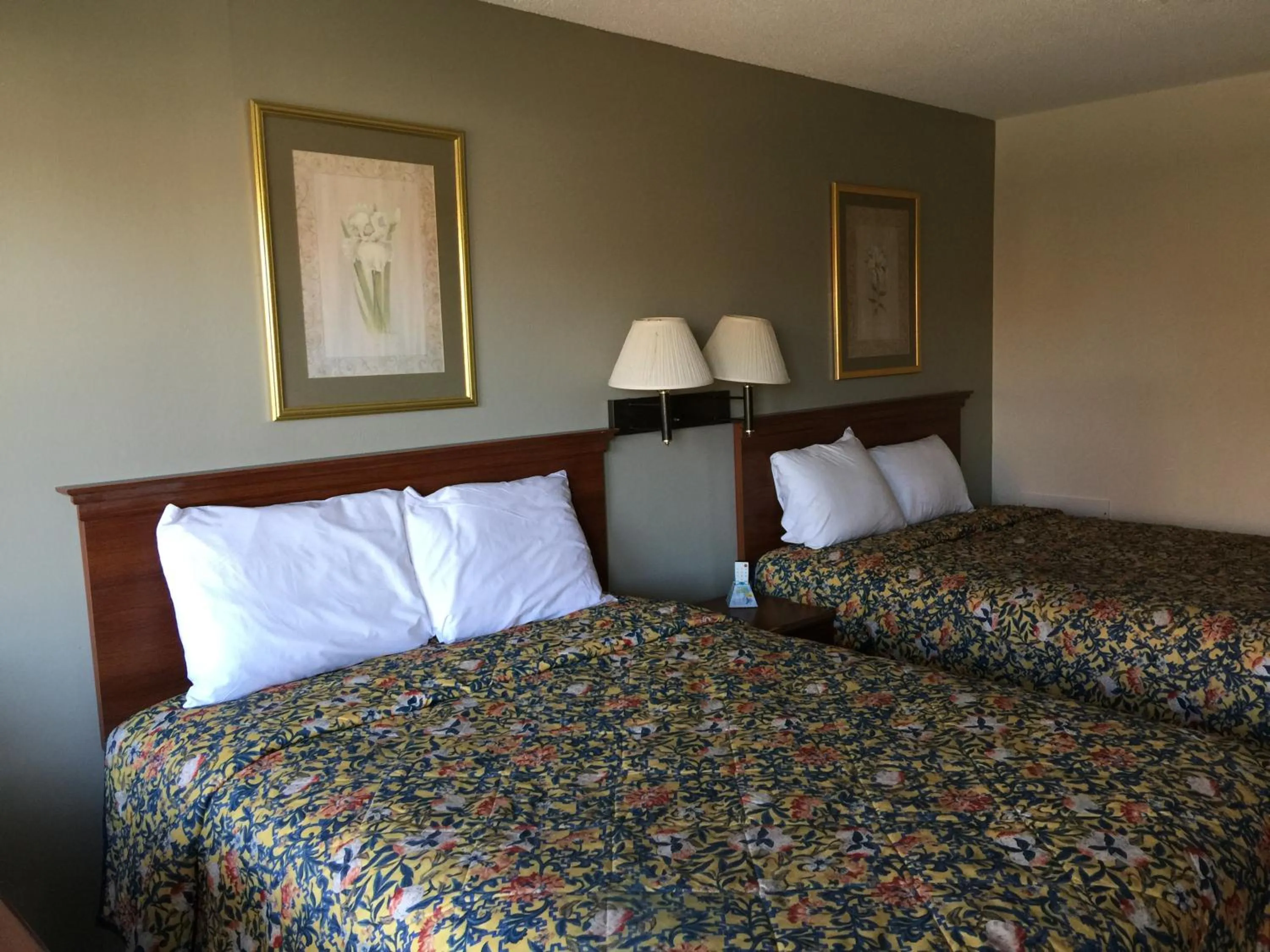 Bed in Red Carpet Inn & Suites - Danville