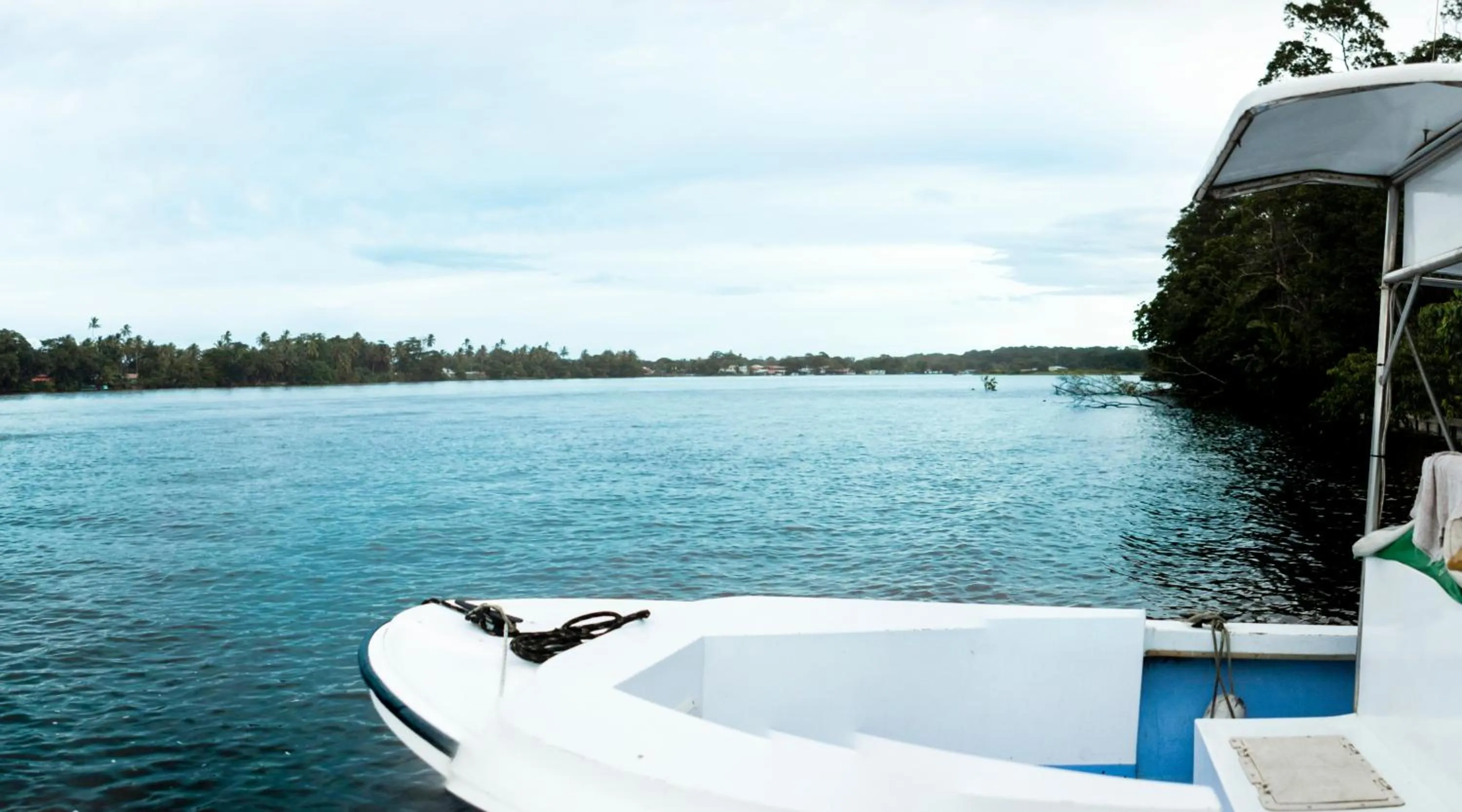 Area and facilities in Pachira Lodge