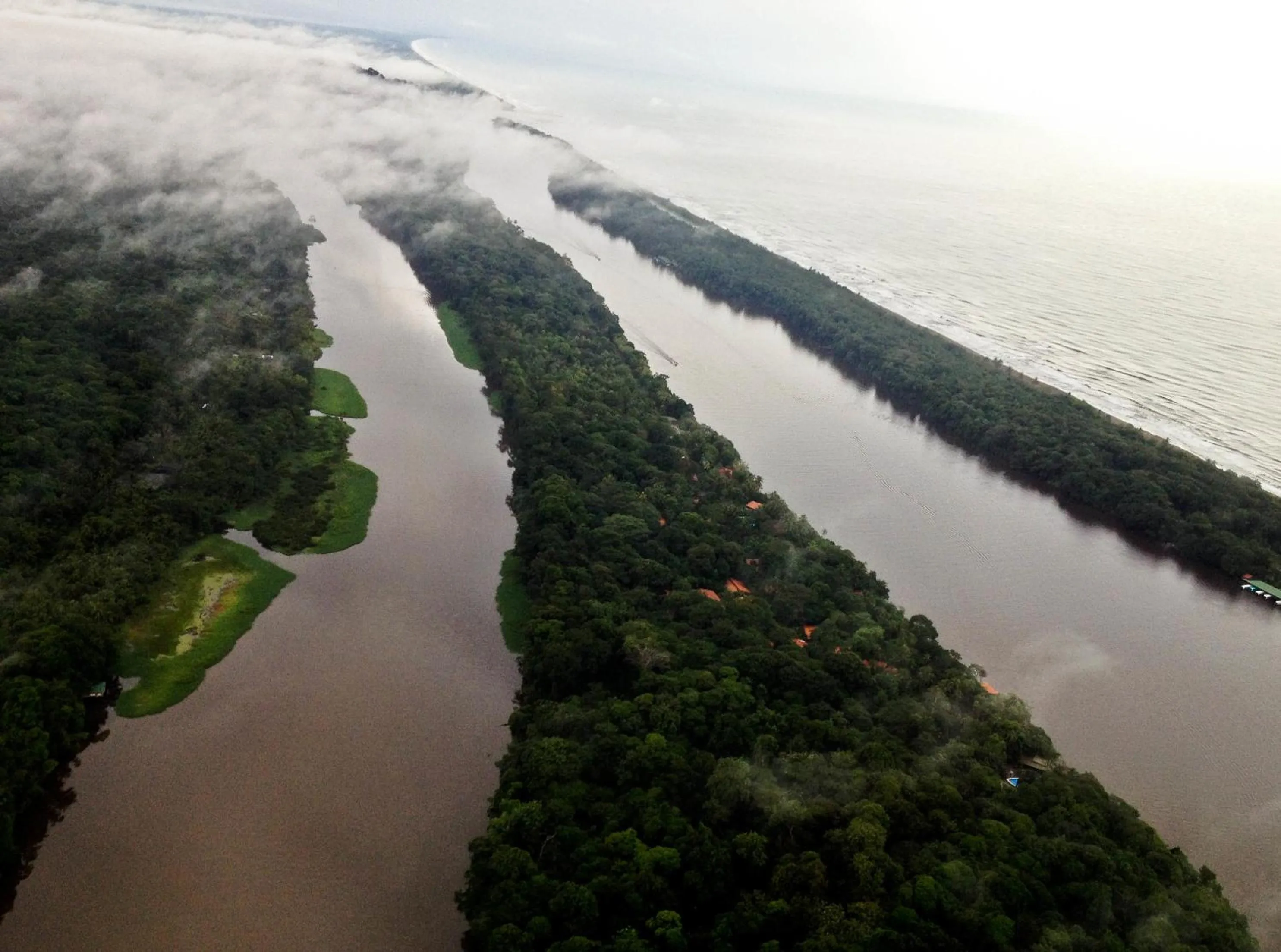 Bird's eye view in Pachira Lodge