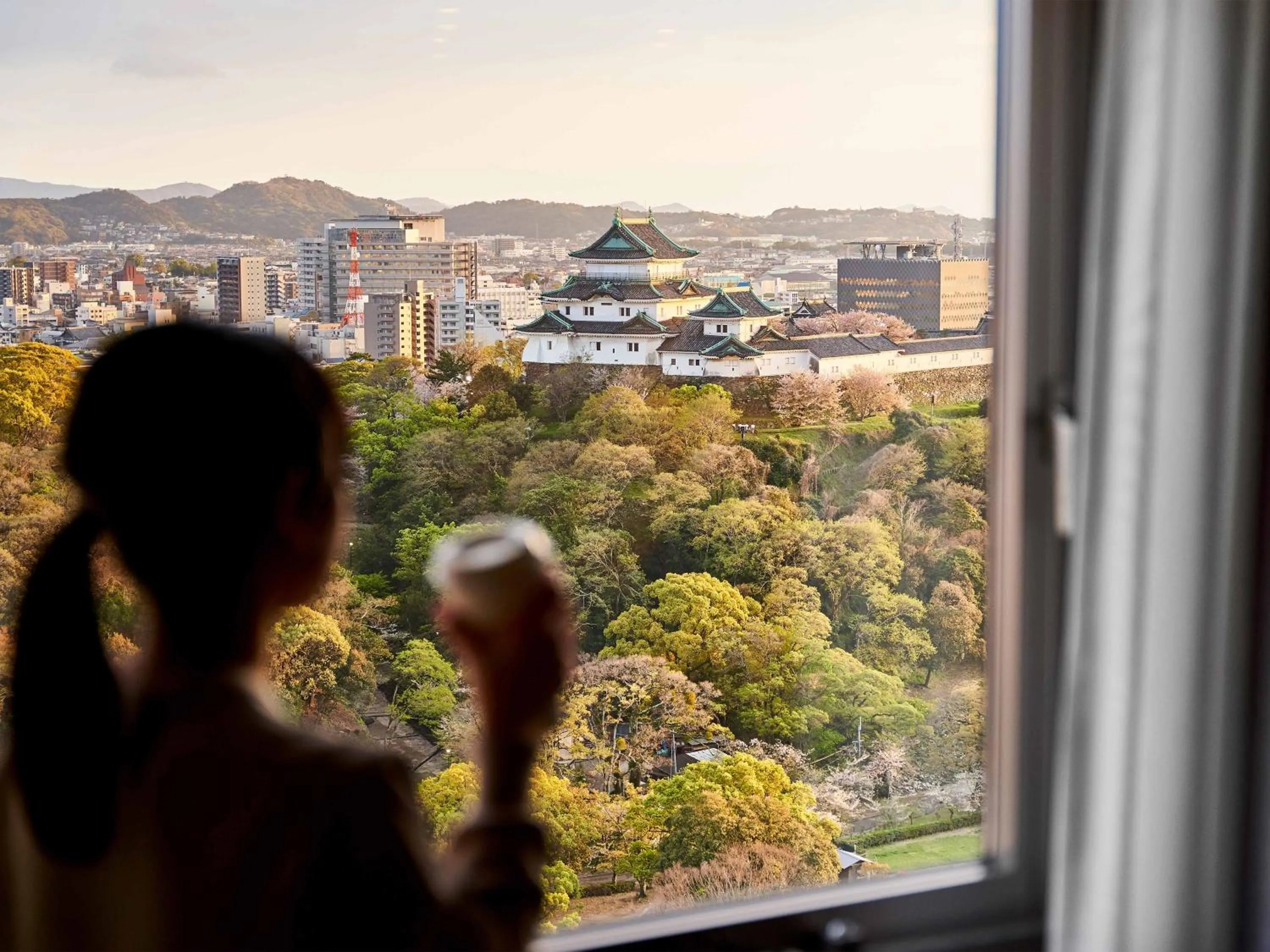 Daiwa Roynet Hotel Wakayama