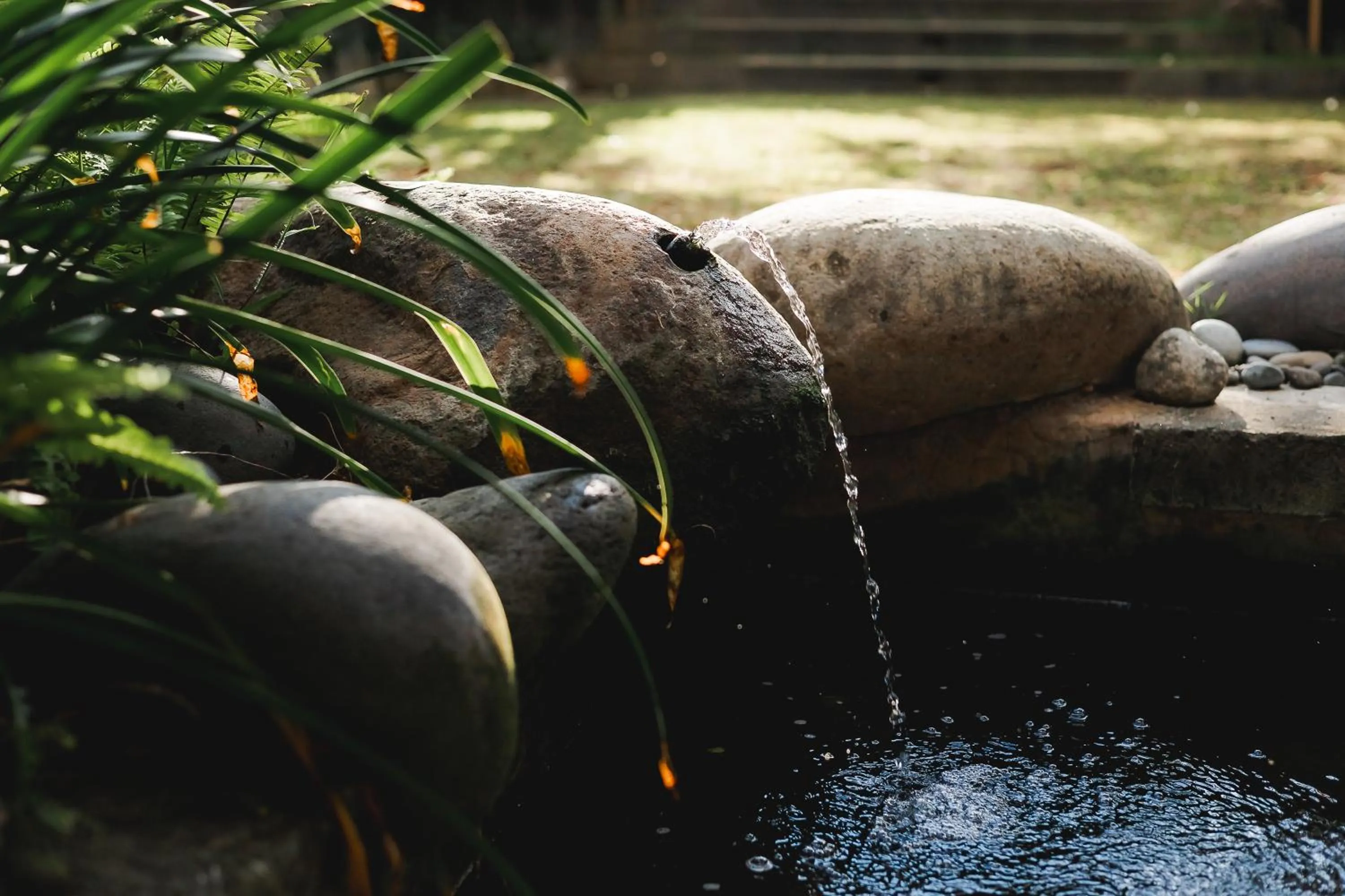 Natural landscape in Fourteen Roses Boutique Hotel, Kuta