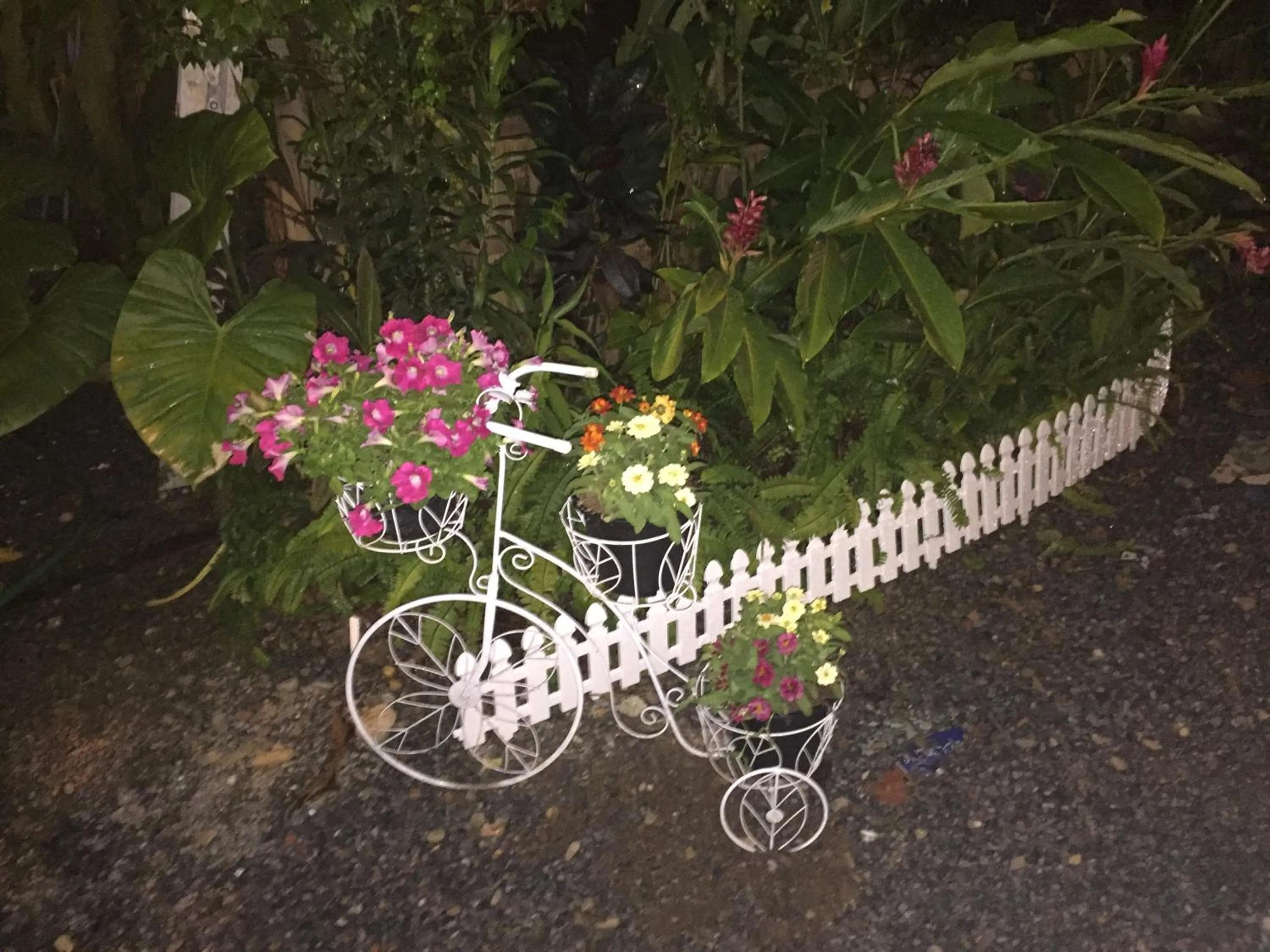 Garden in Champalao The Villa