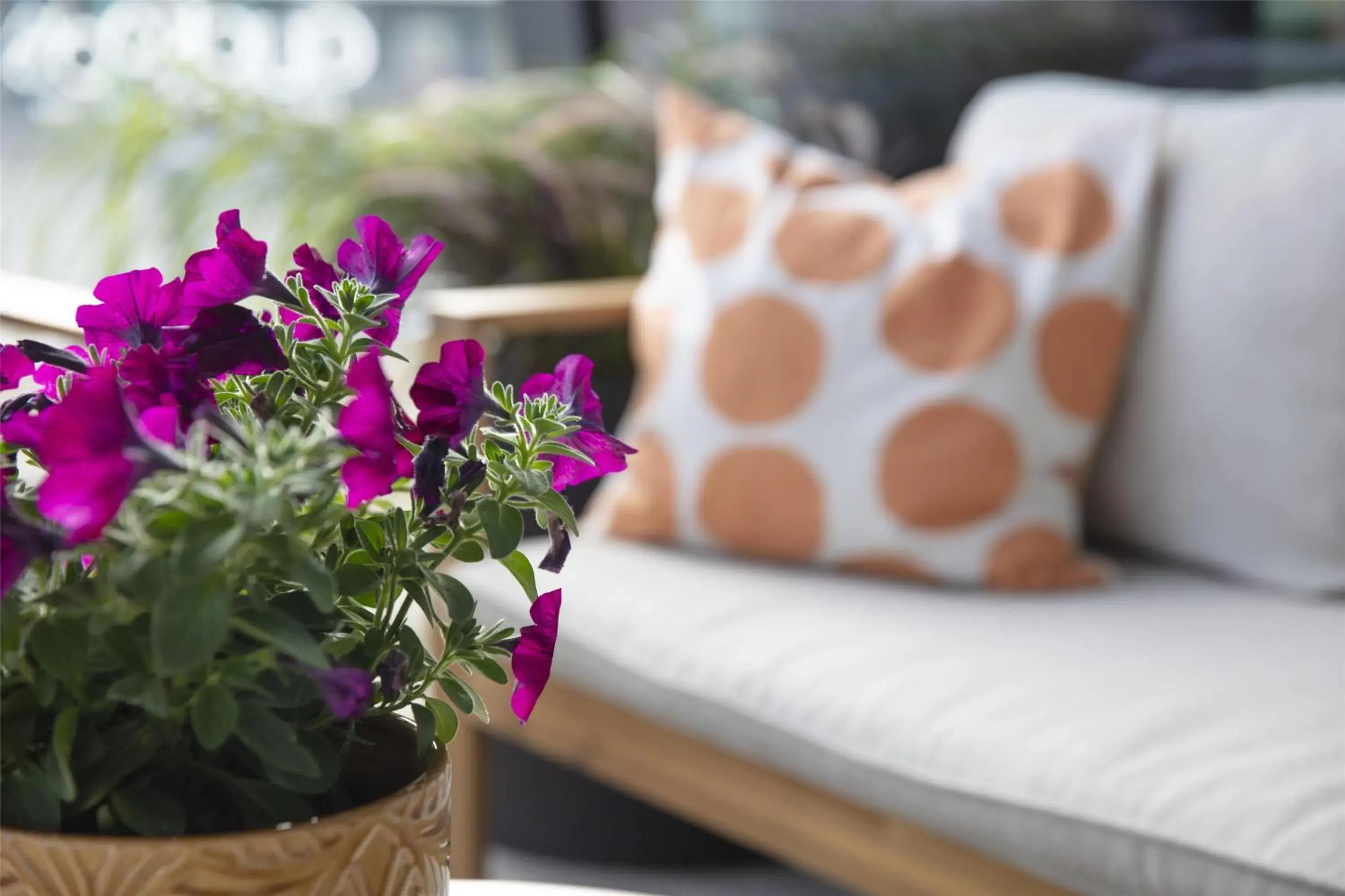 Lobby or reception in Radisson Blu Riverside Hotel Lobby or reception in Radisson Blu Riverside Hotel