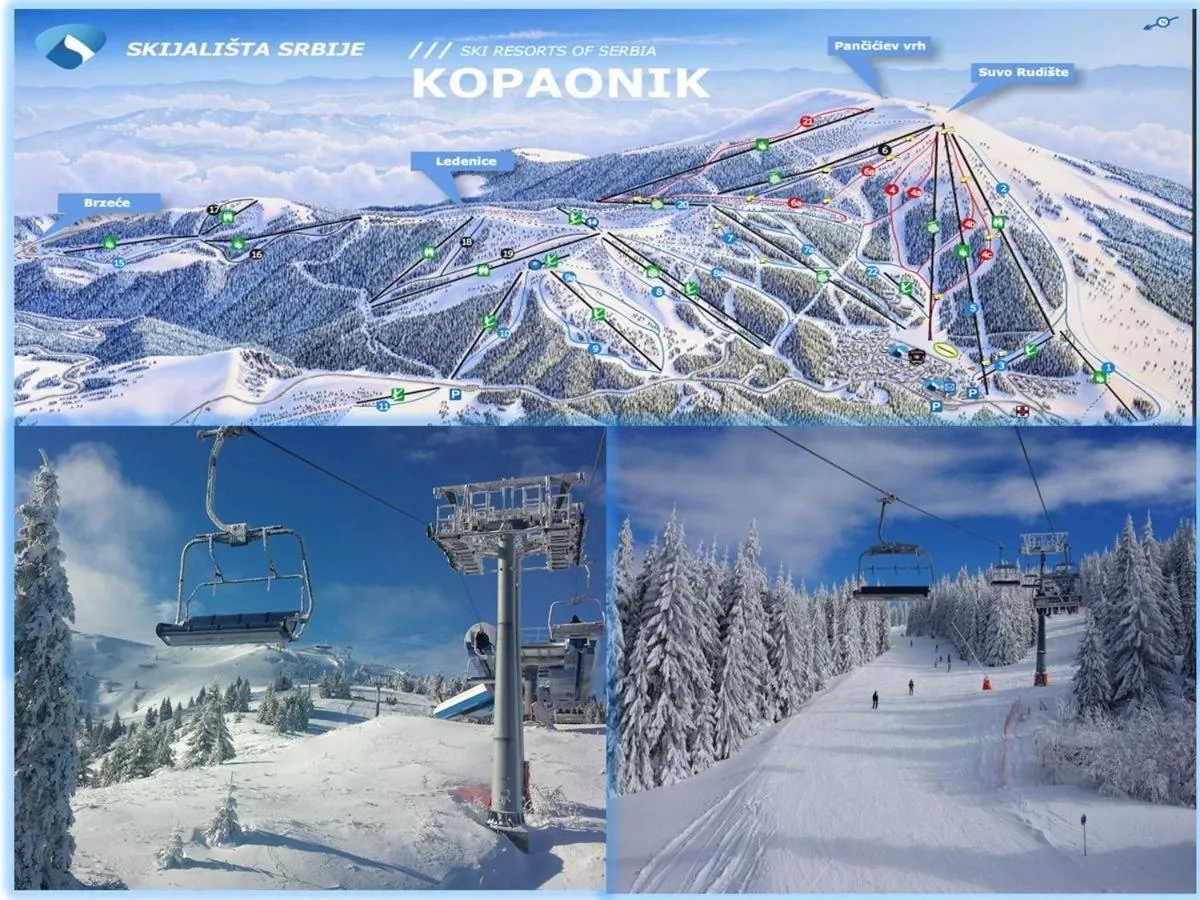 Neighbourhood in As Lux Apartmani Kopaonik