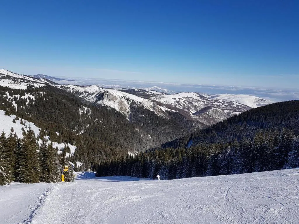 Winter in As Lux Apartmani Kopaonik