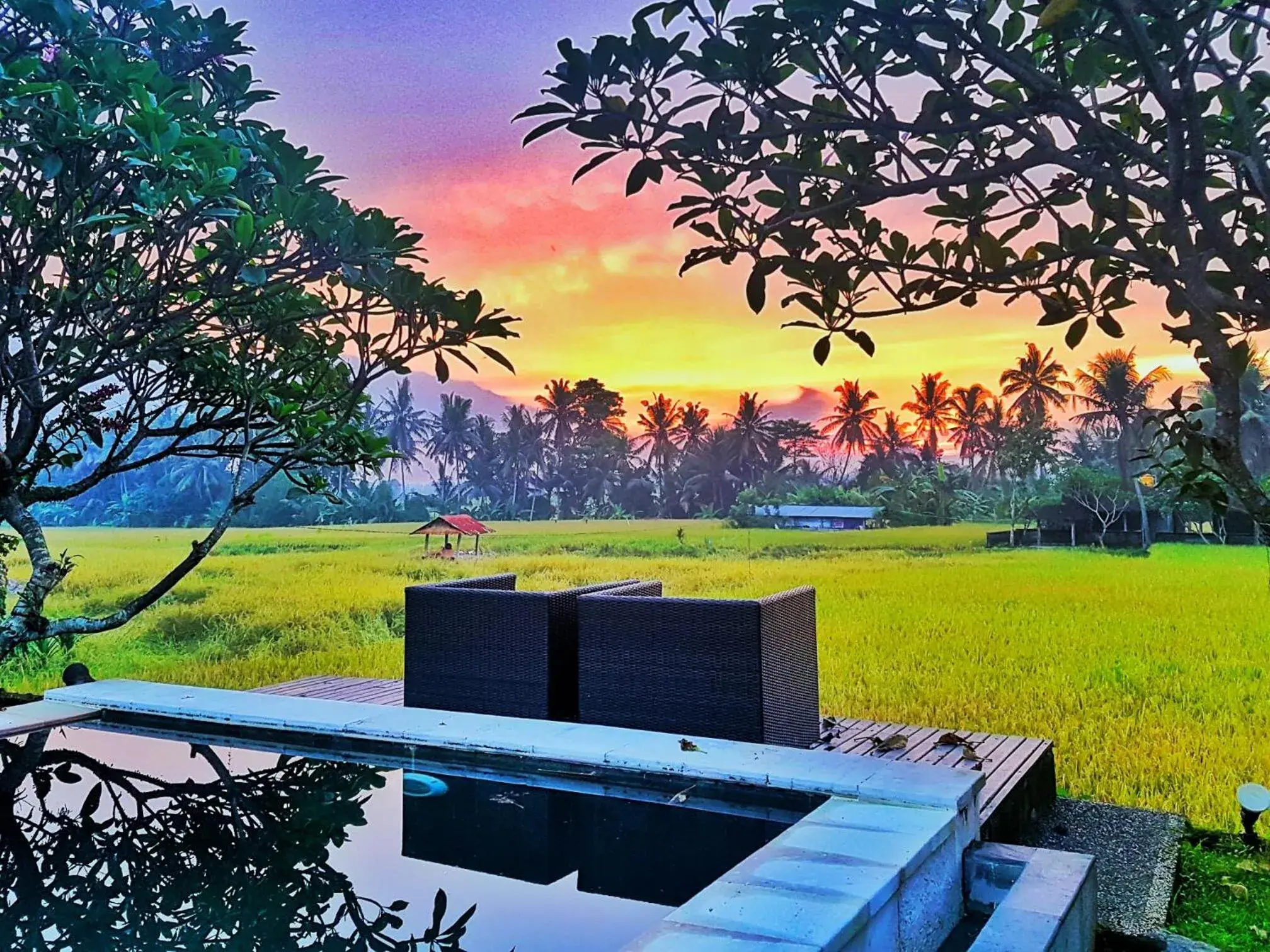 View (from property/room) in Lodtunduh Sari View (from property/room) in Lodtunduh Sari