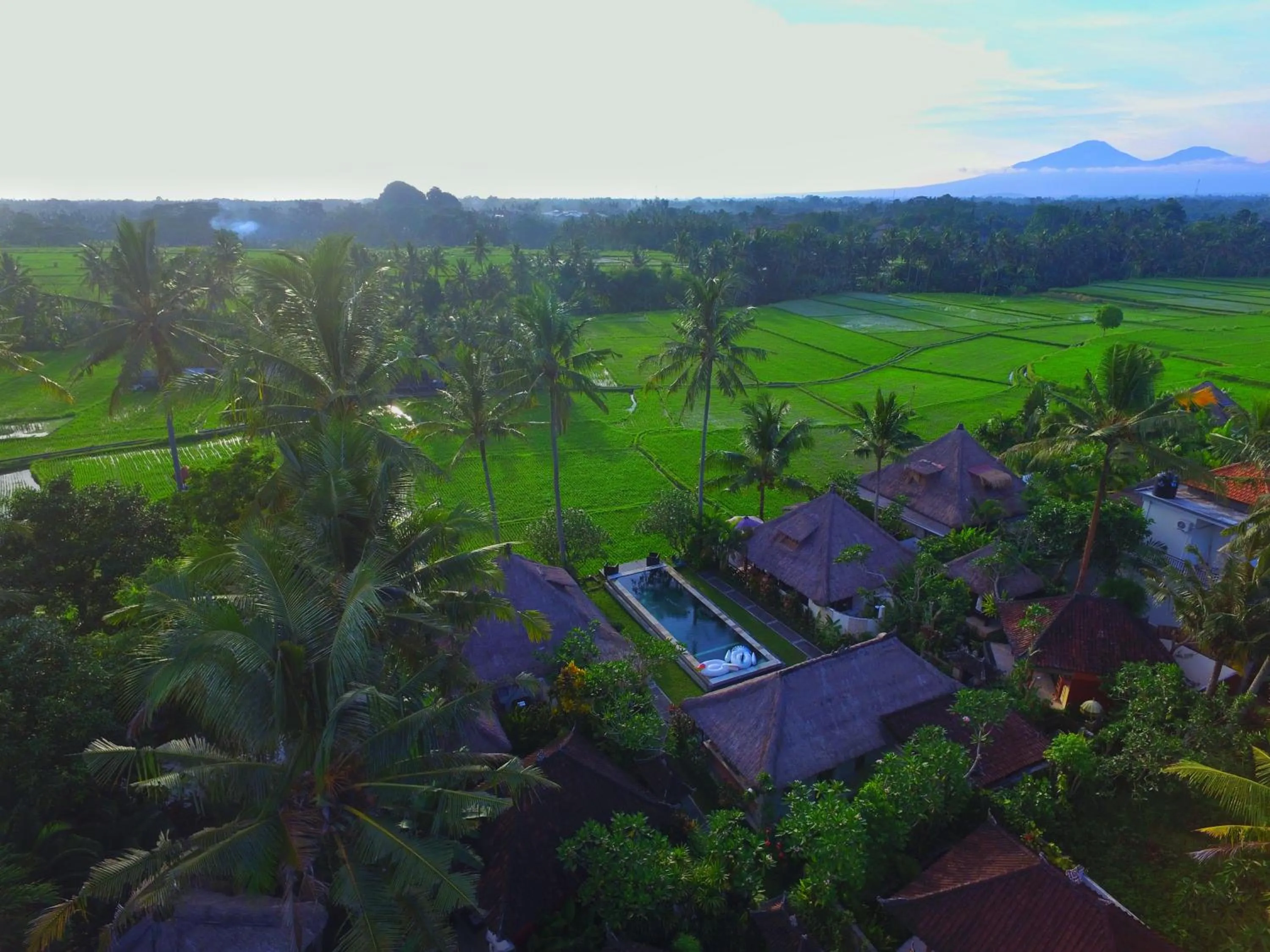 Neighbourhood in Lodtunduh Sari