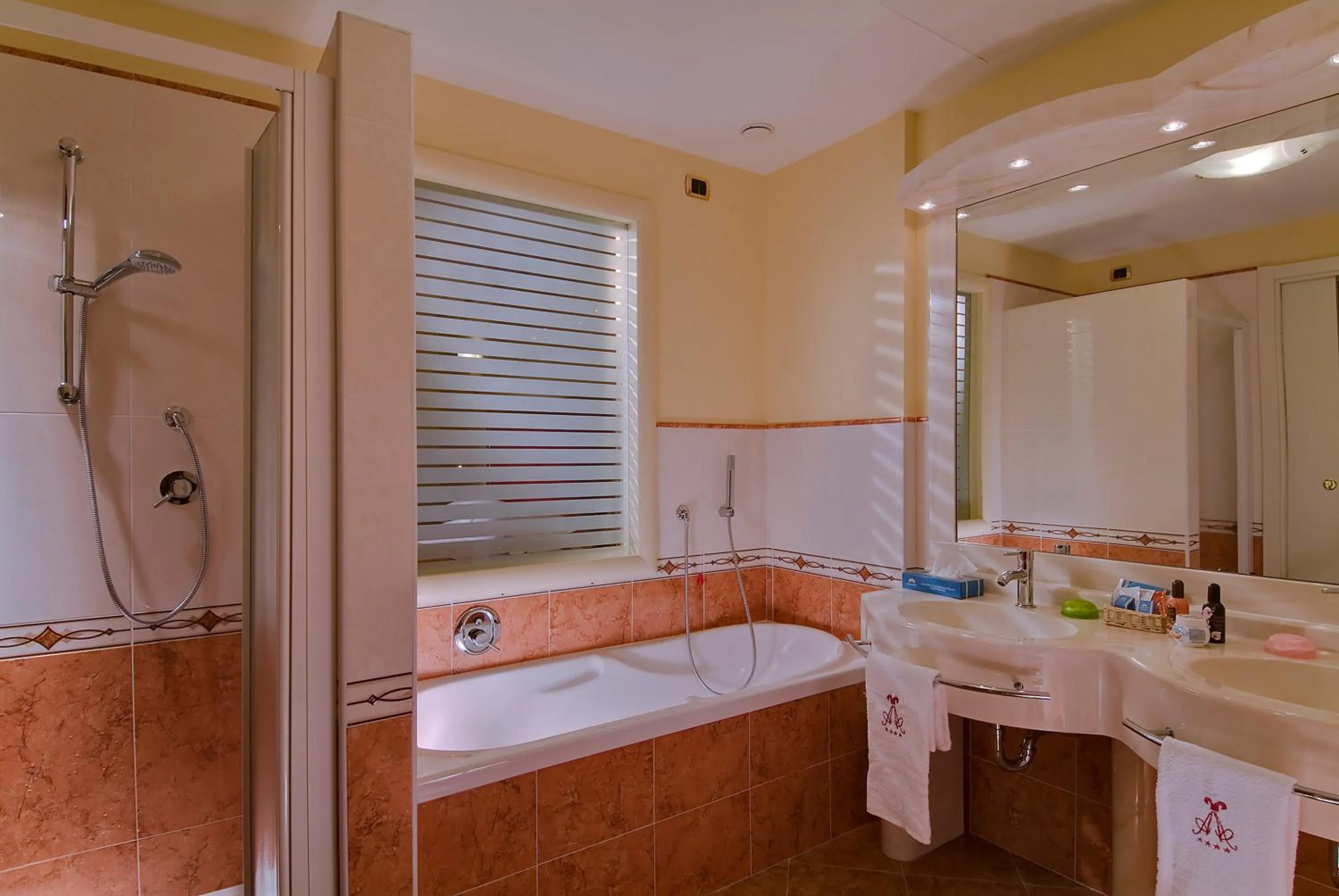 Shower in Hotel Terme All'Alba