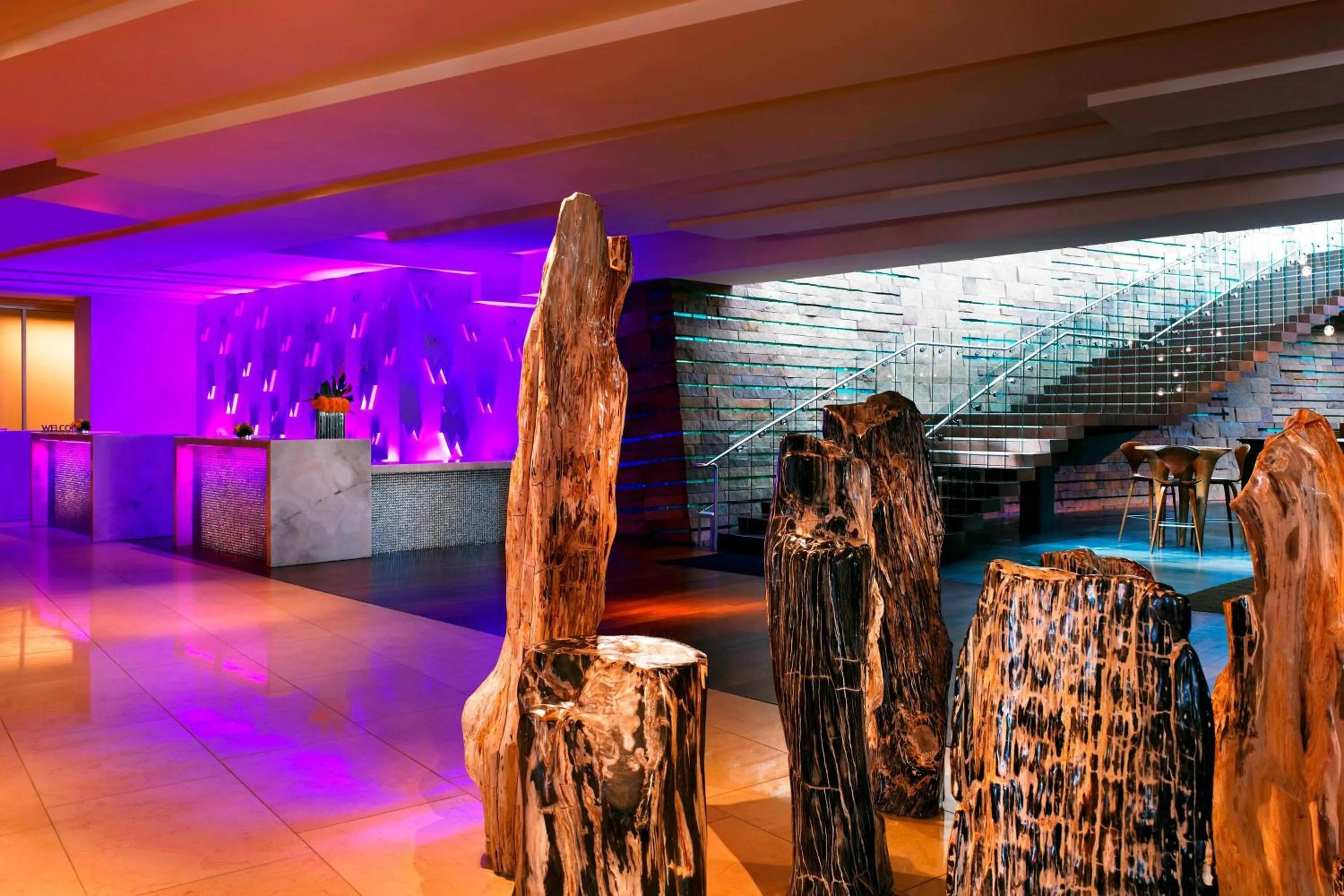 Lobby or reception in W Scottsdale