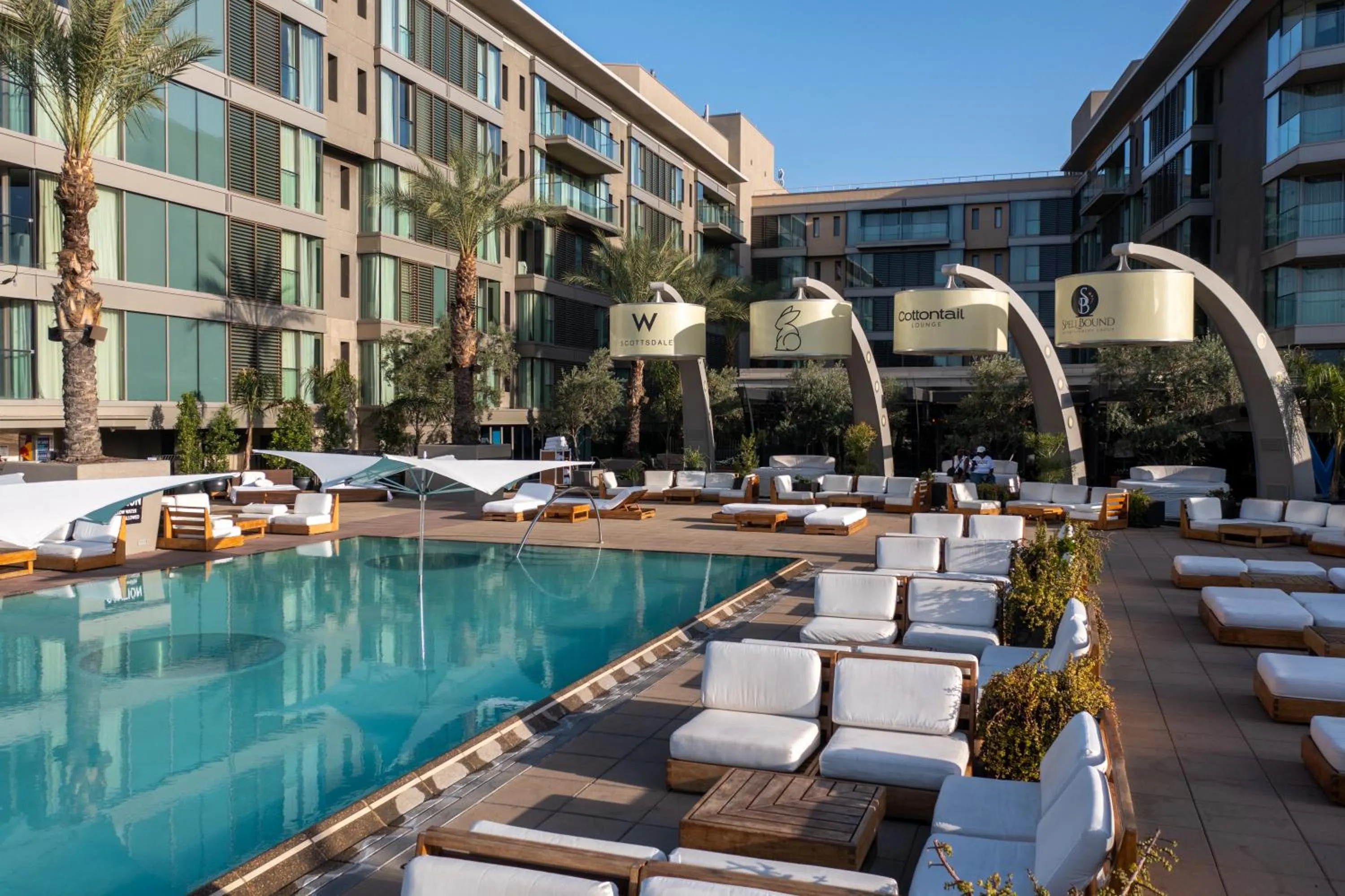 Pool view in W Scottsdale