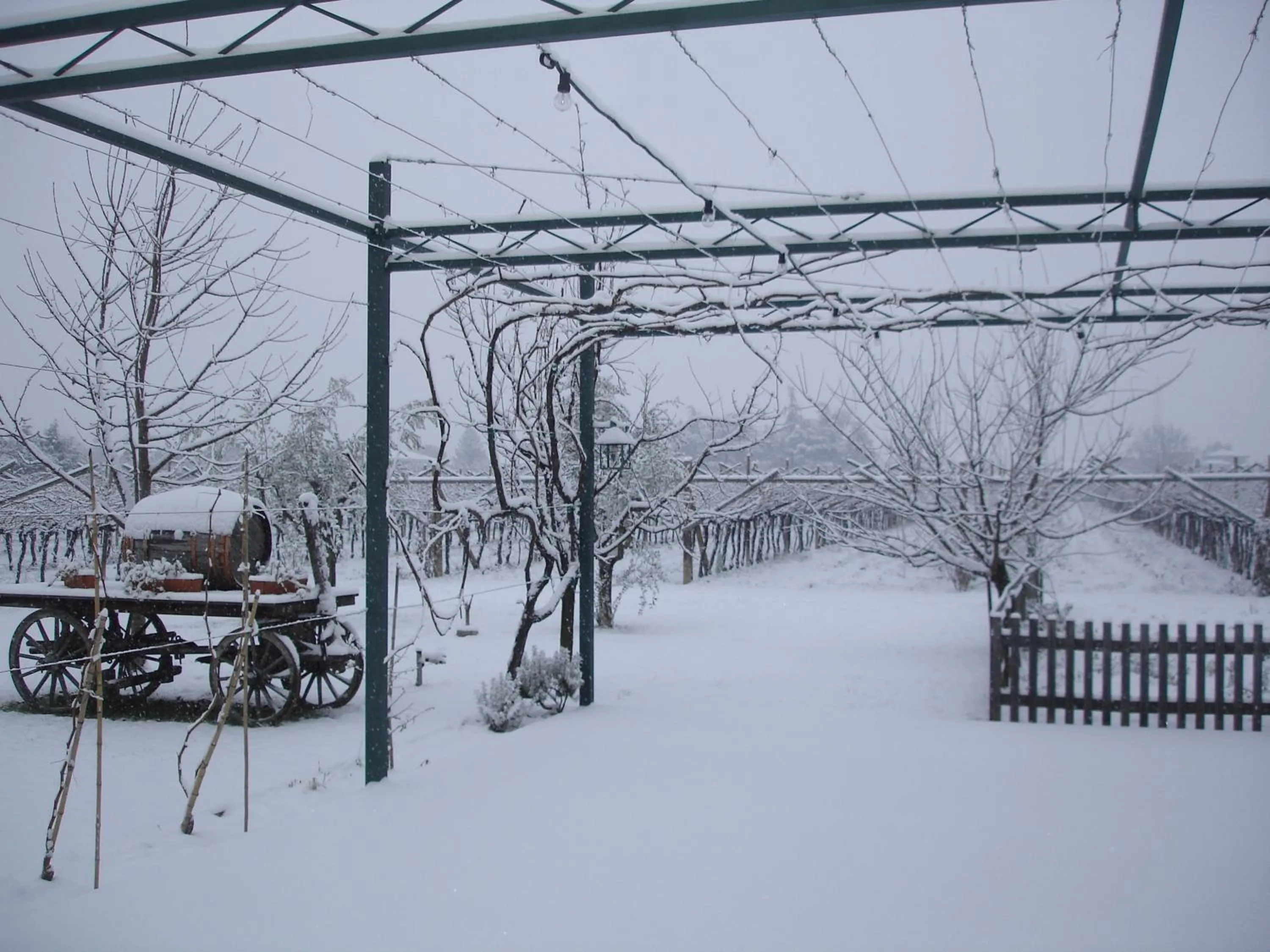 Restaurant/places to eat in Le Servite Apartments