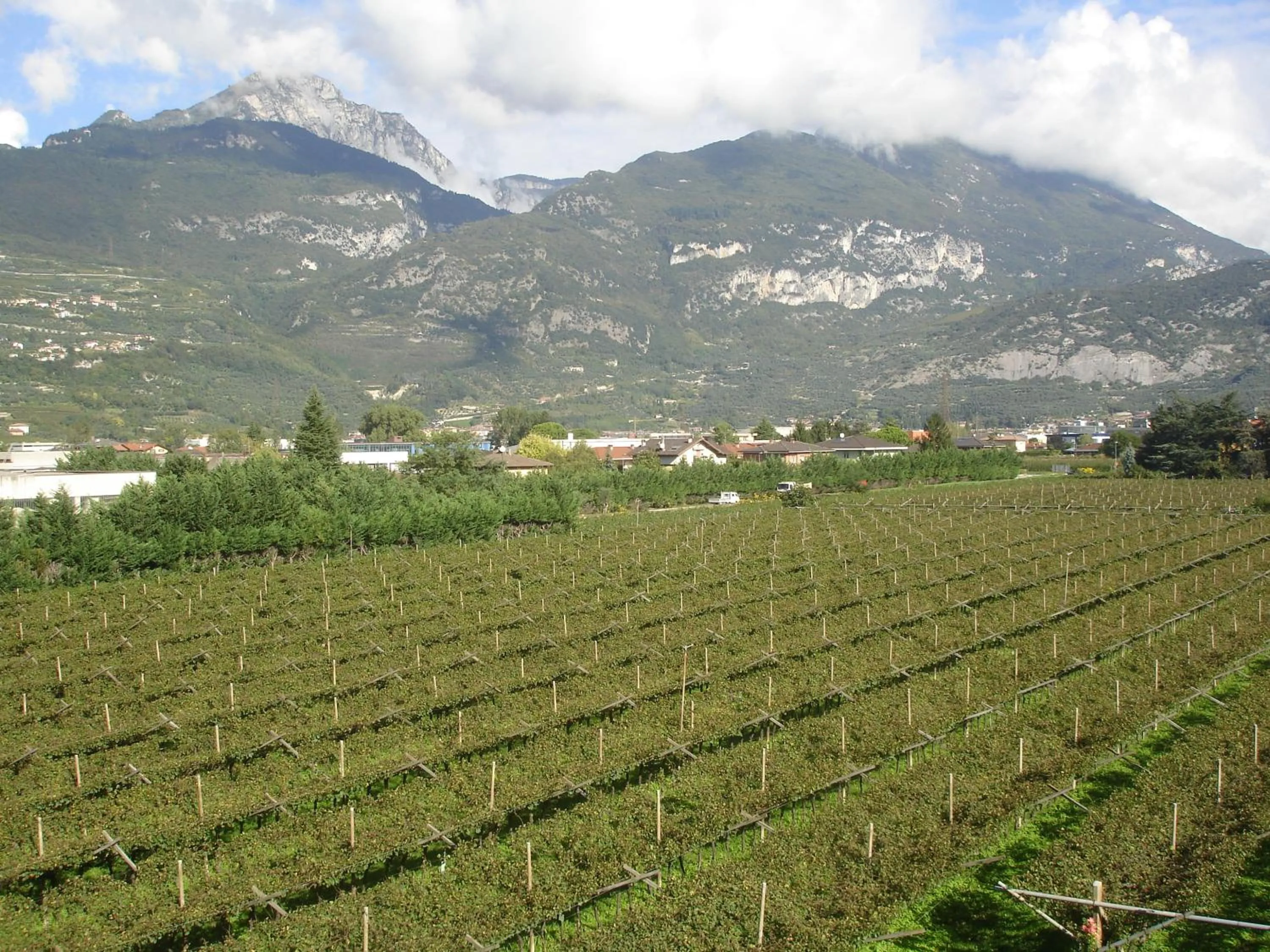 Garden in Le Servite Apartments