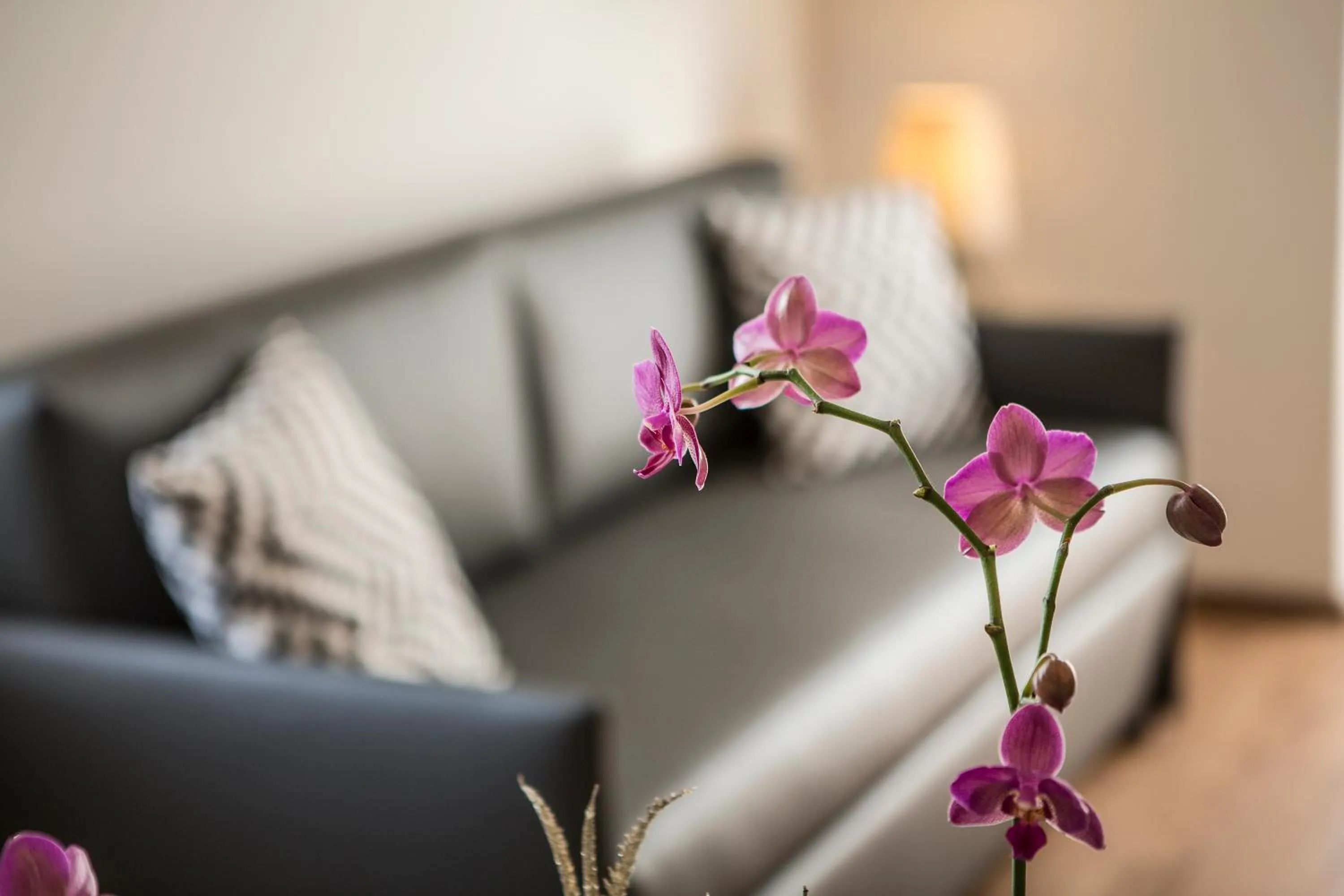 Decorative detail in Le Servite Apartments