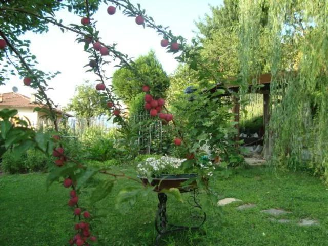 Garden in B&B Cherry En Rose