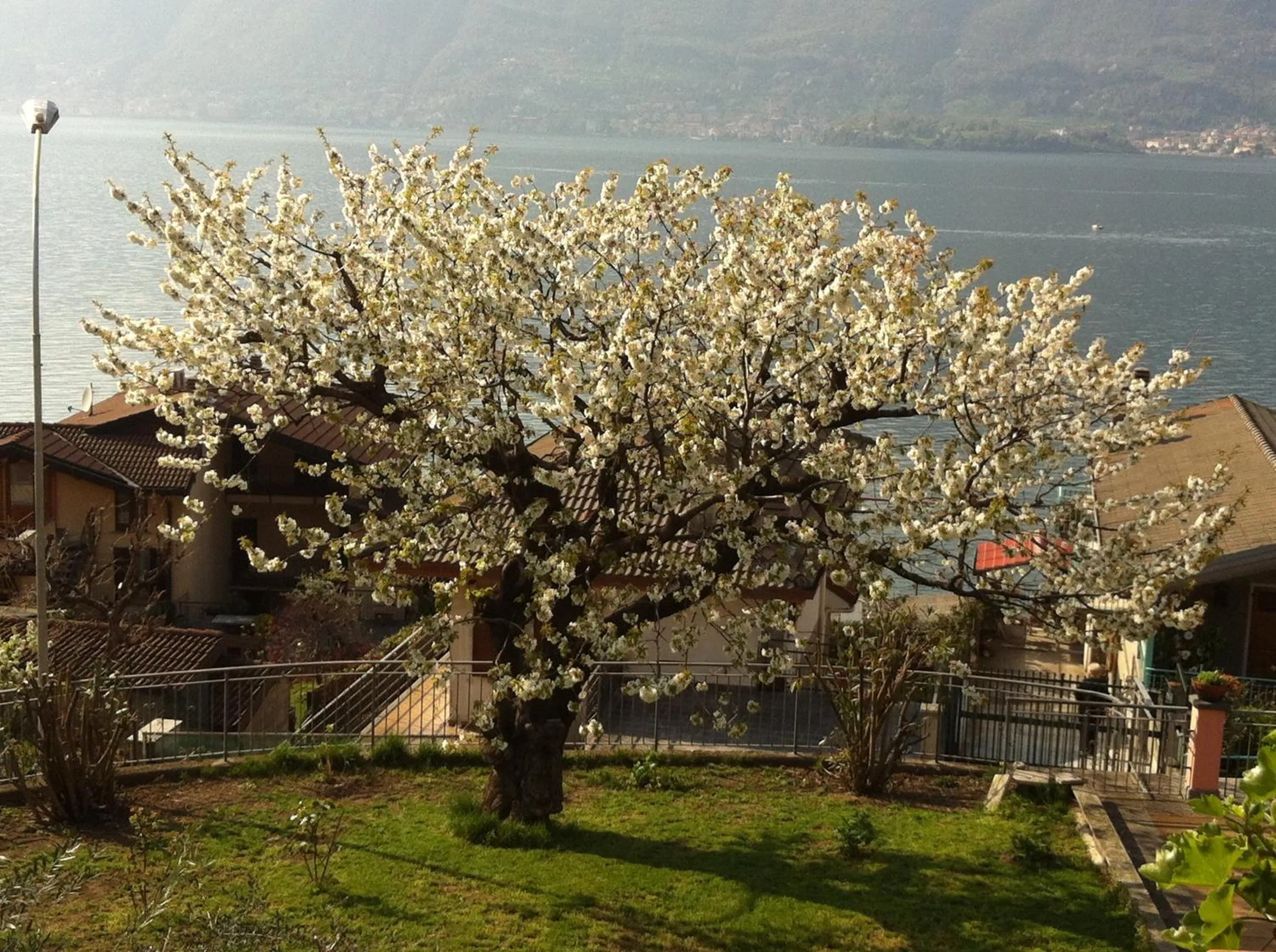 Day in B&B Cherry En Rose