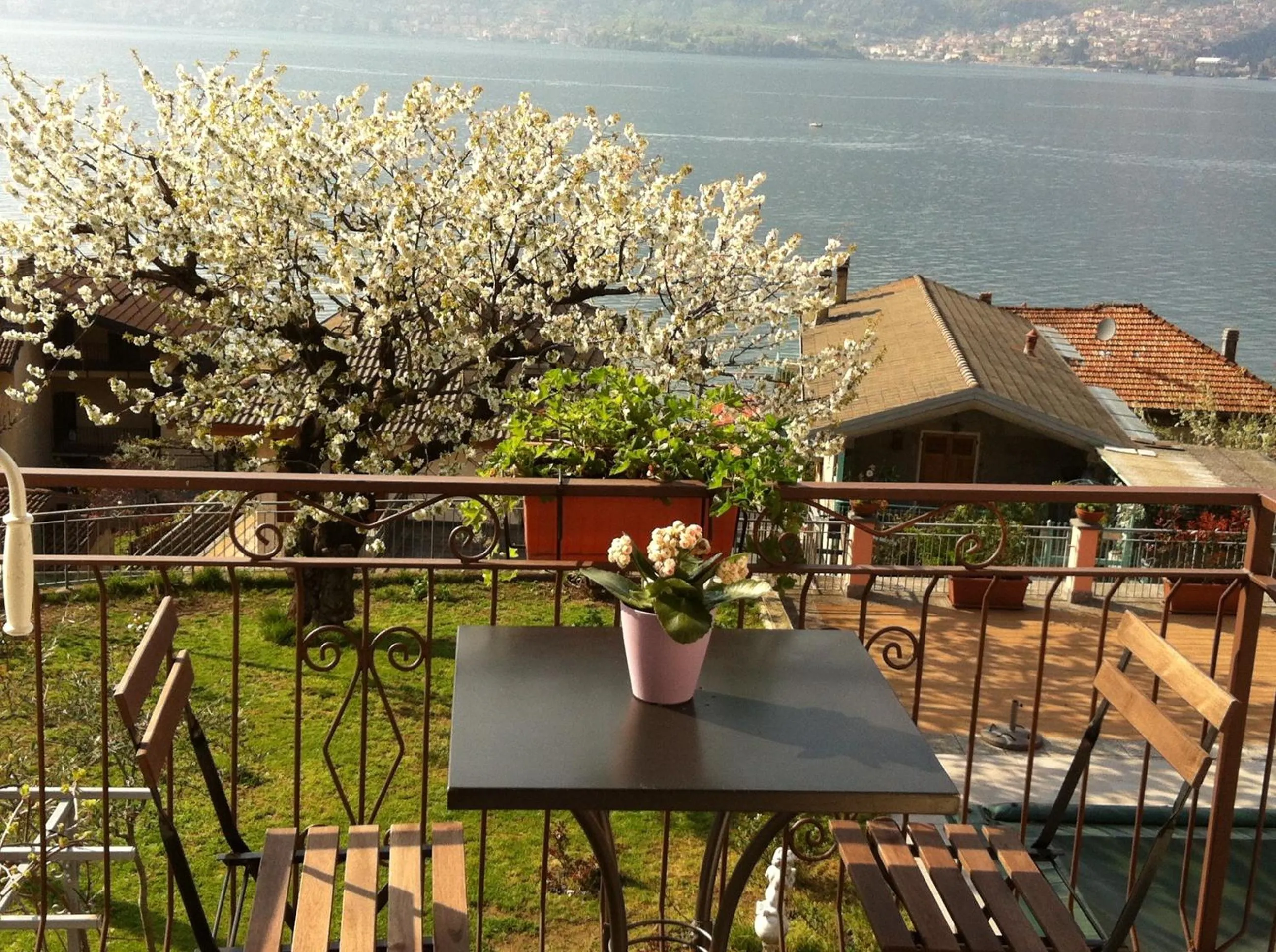 Day in B&B Cherry En Rose