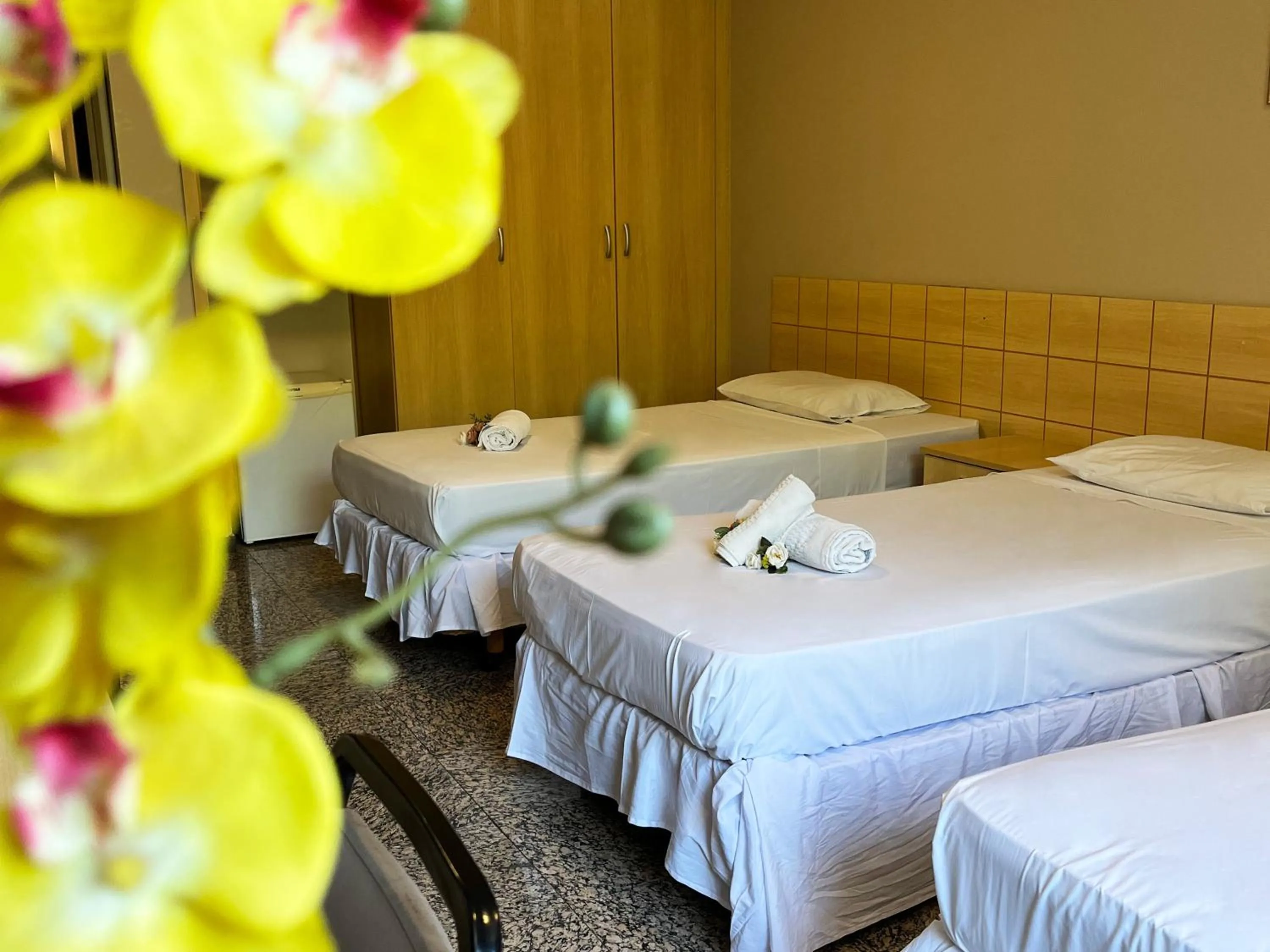 Bed in Hotel Diplomat by Bsb Inn