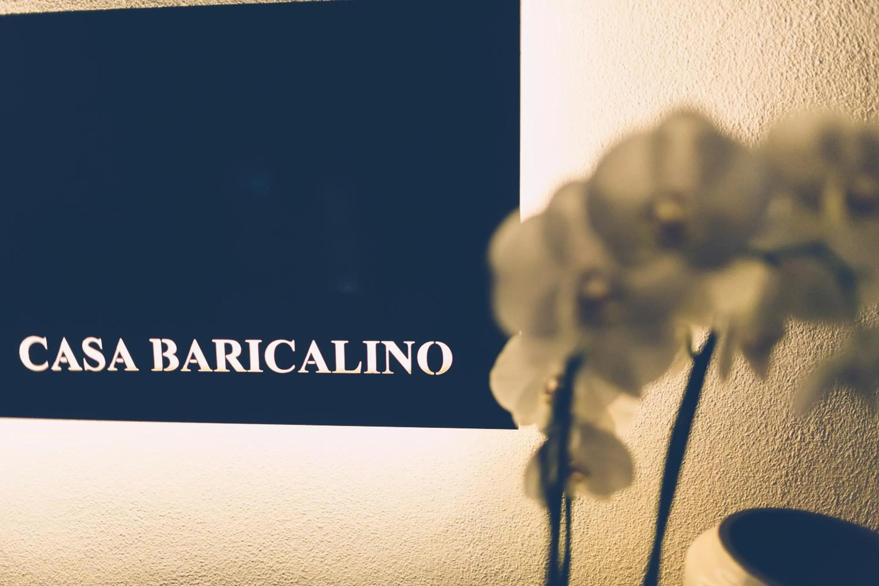 Property logo or sign in Casa Baricalino