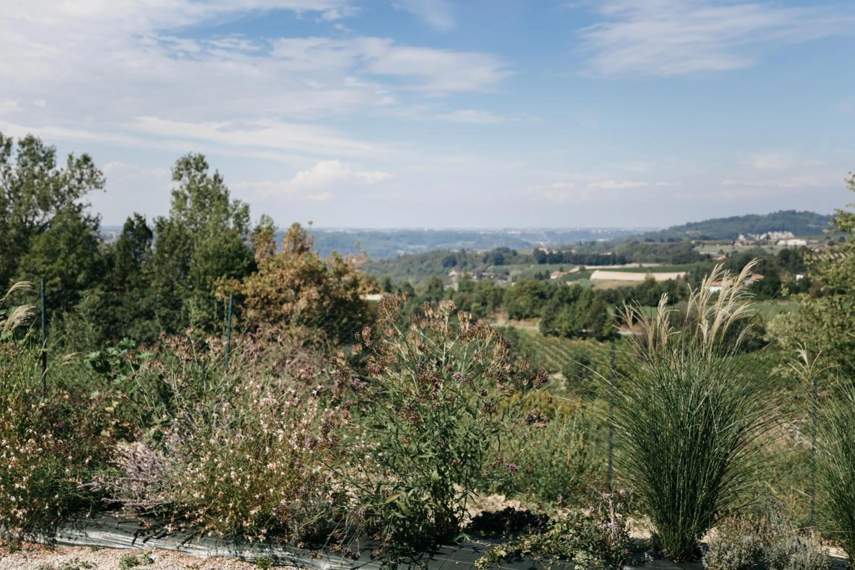 Natural landscape in Casa Baricalino