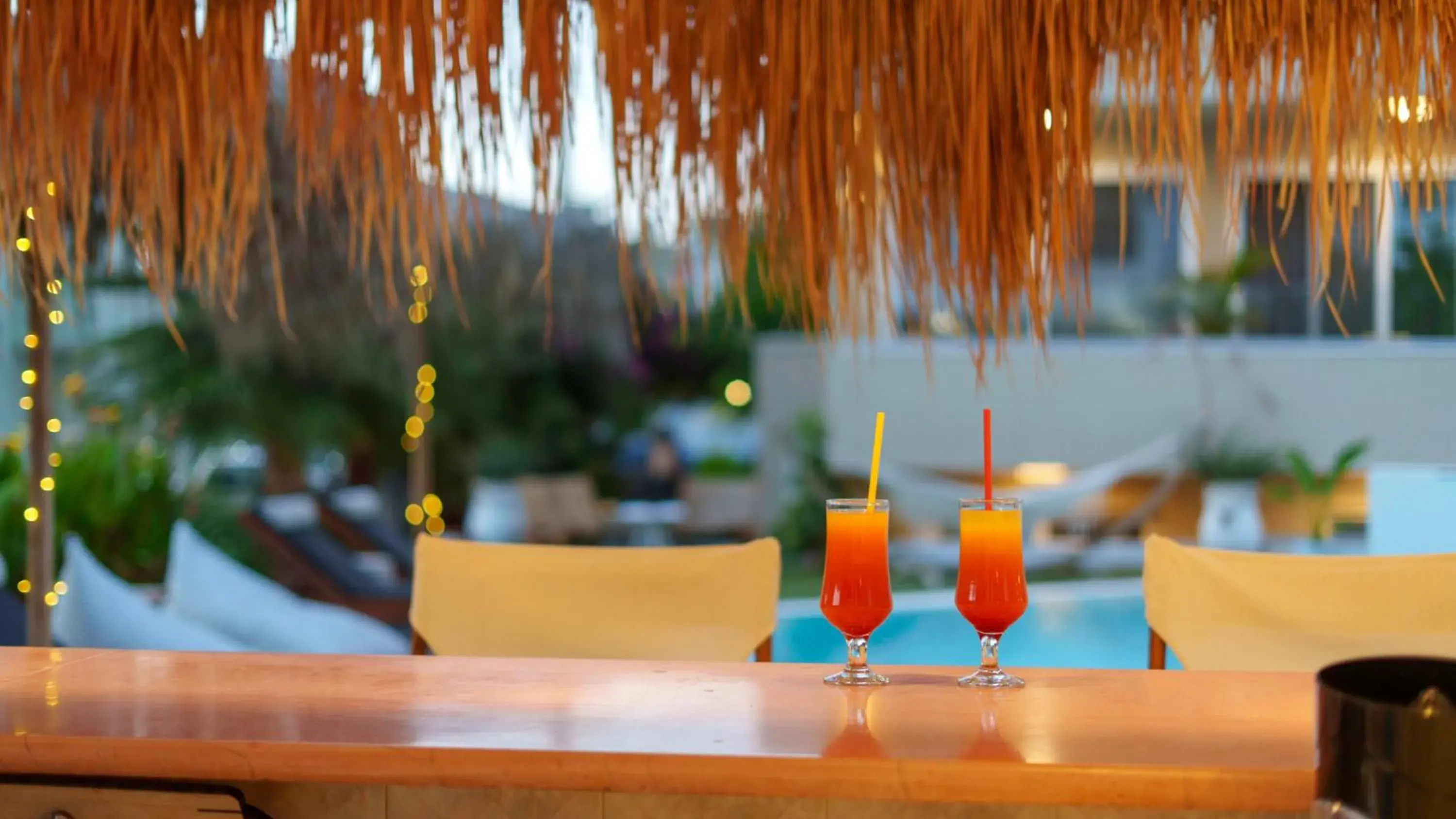Lounge or bar in Stella Maria Lounge or bar in Stella Maria