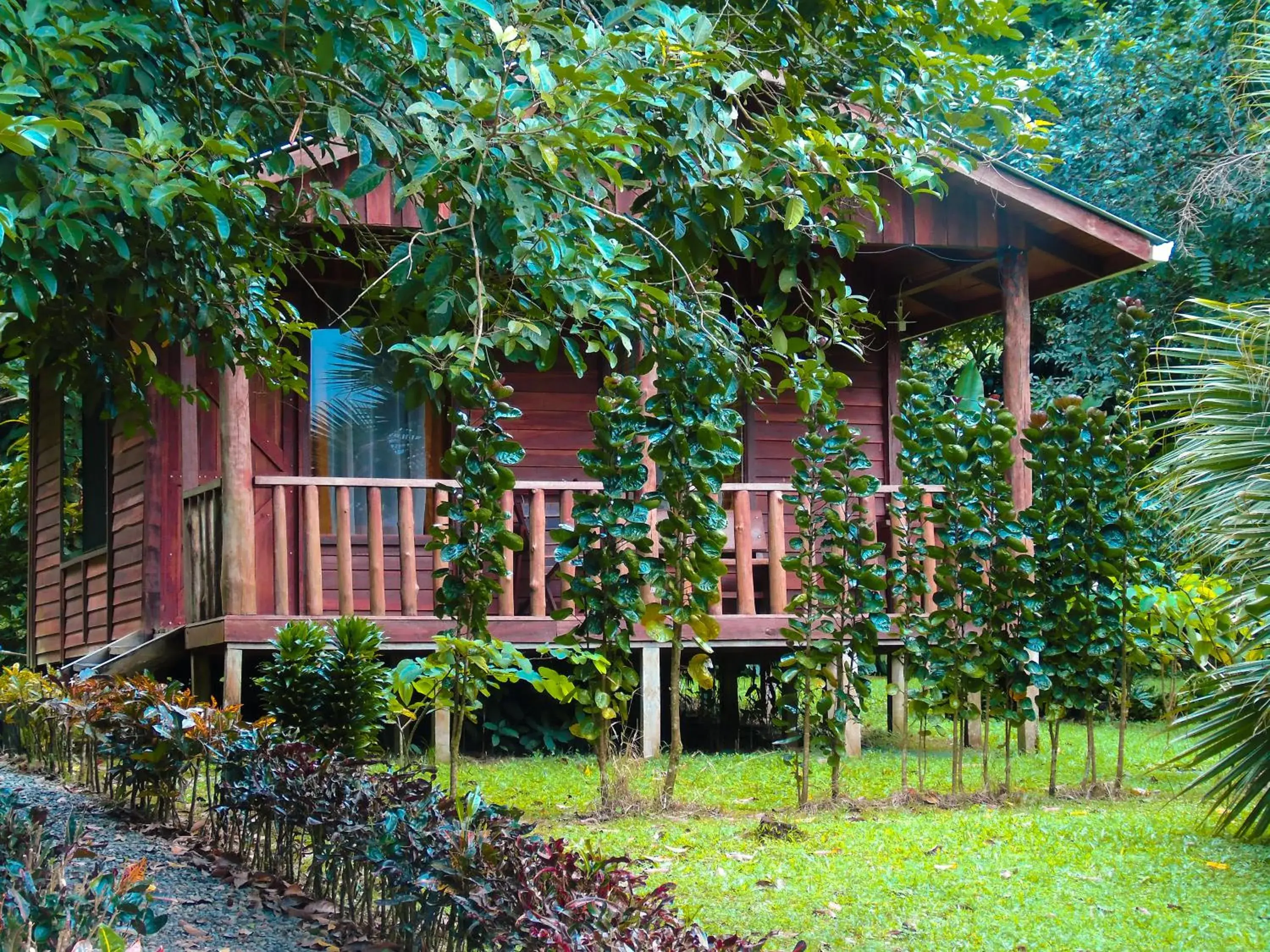Superior Bungalow in Cataratas Bijagua Lodge, incluye tour autoguiado Bijagua Waterfalls Hike Superior Bungalow in Cataratas Bijagua Lodge, incluye tour autoguiado Bijagua Waterfalls Hike