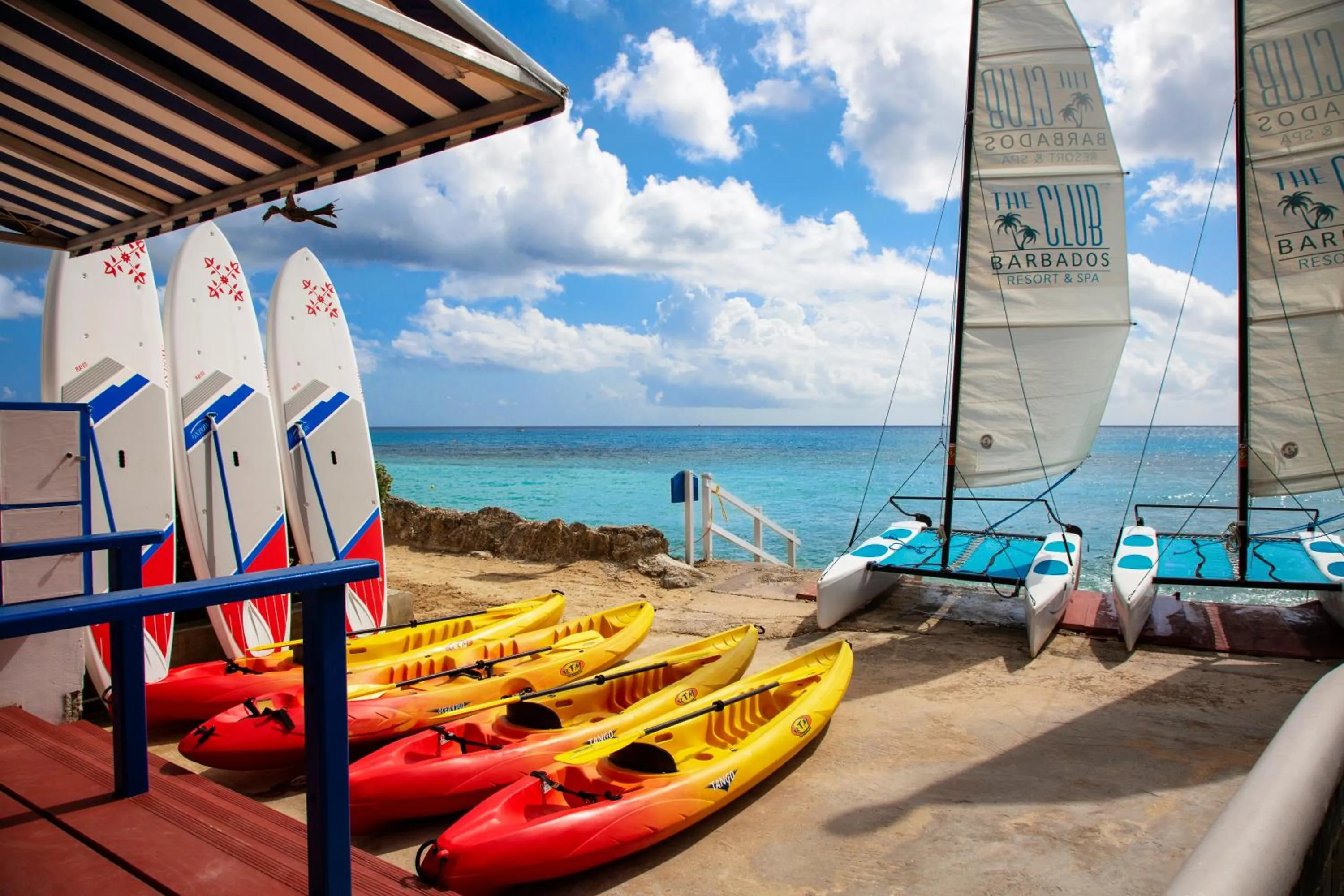 Beach in The Club Barbados - All Inclusive - Adults Only